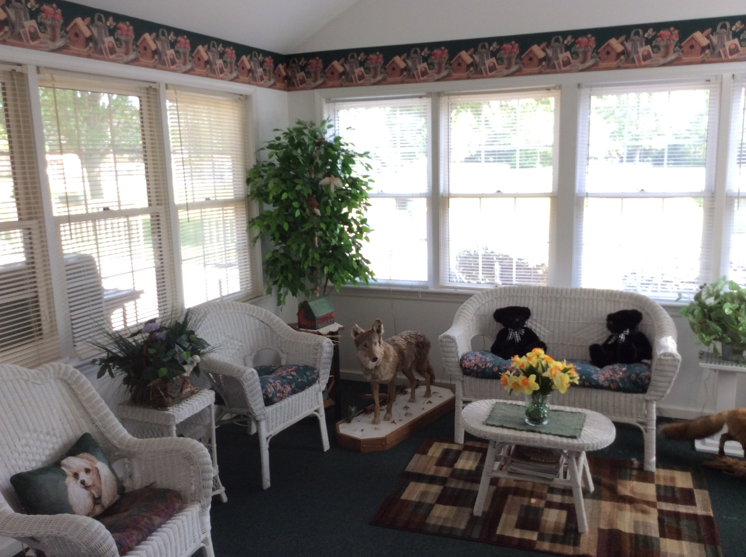 Real Estate Pictures