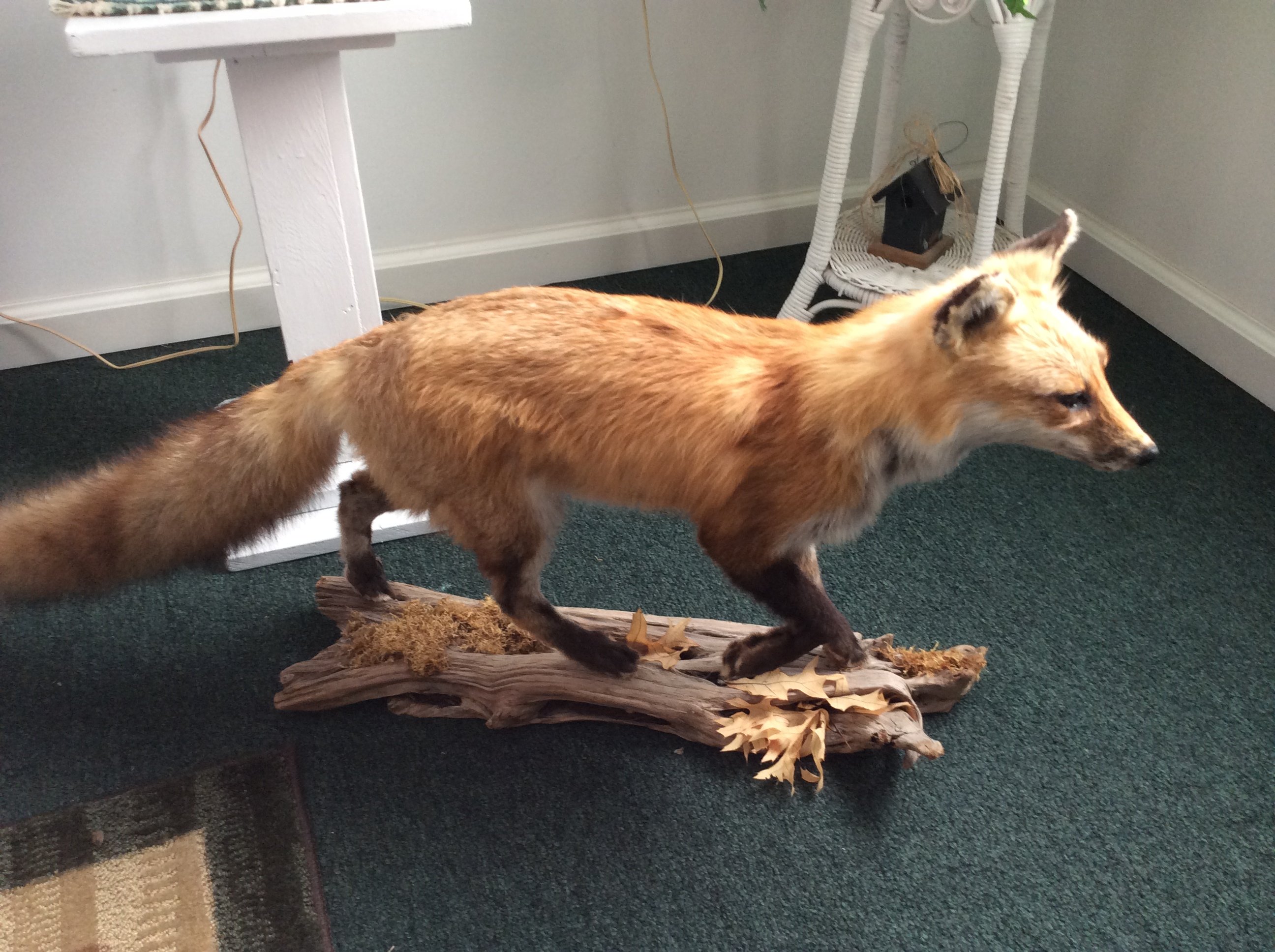 Personal Property Pictures