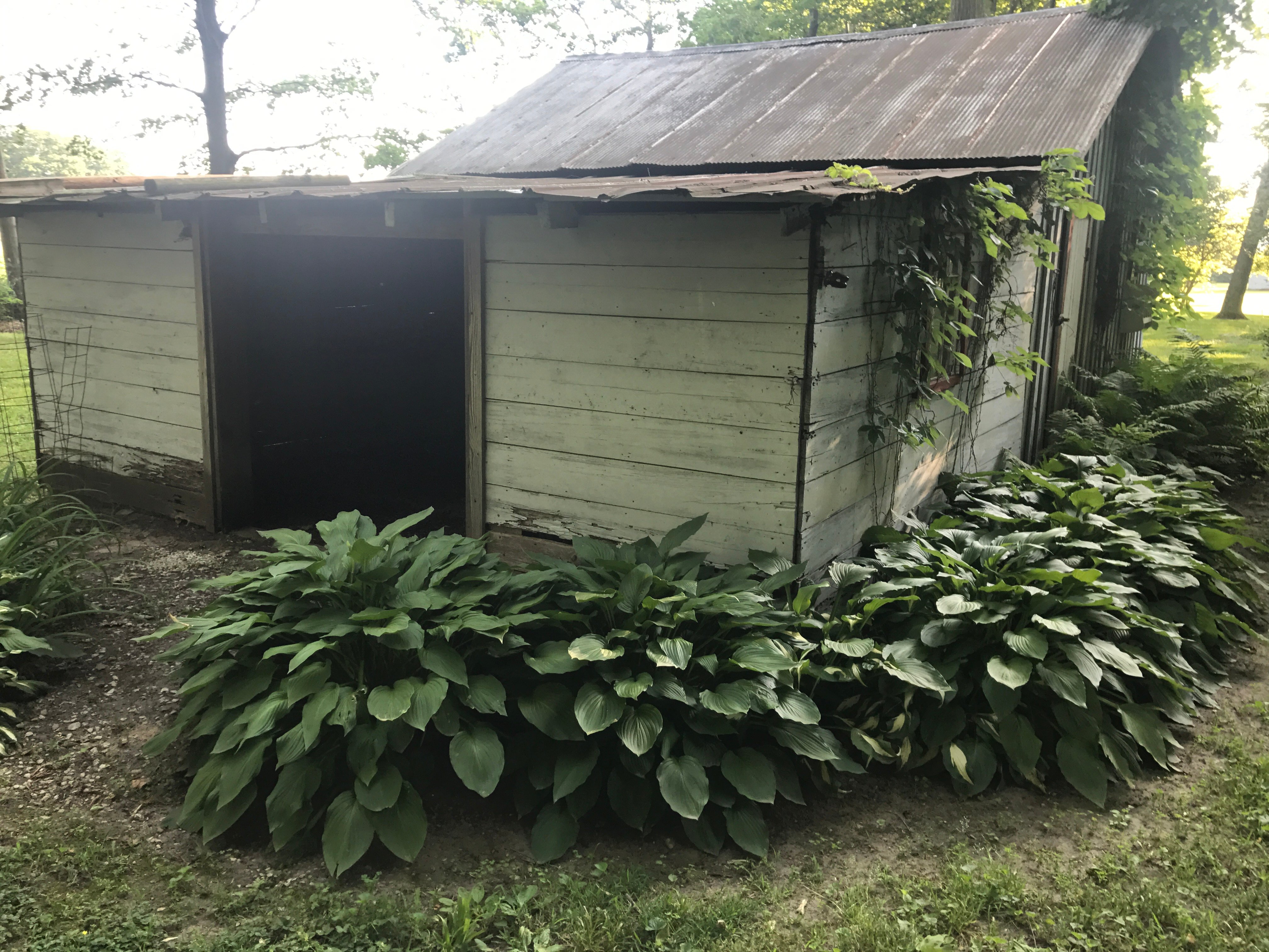 Real Estate Pictures