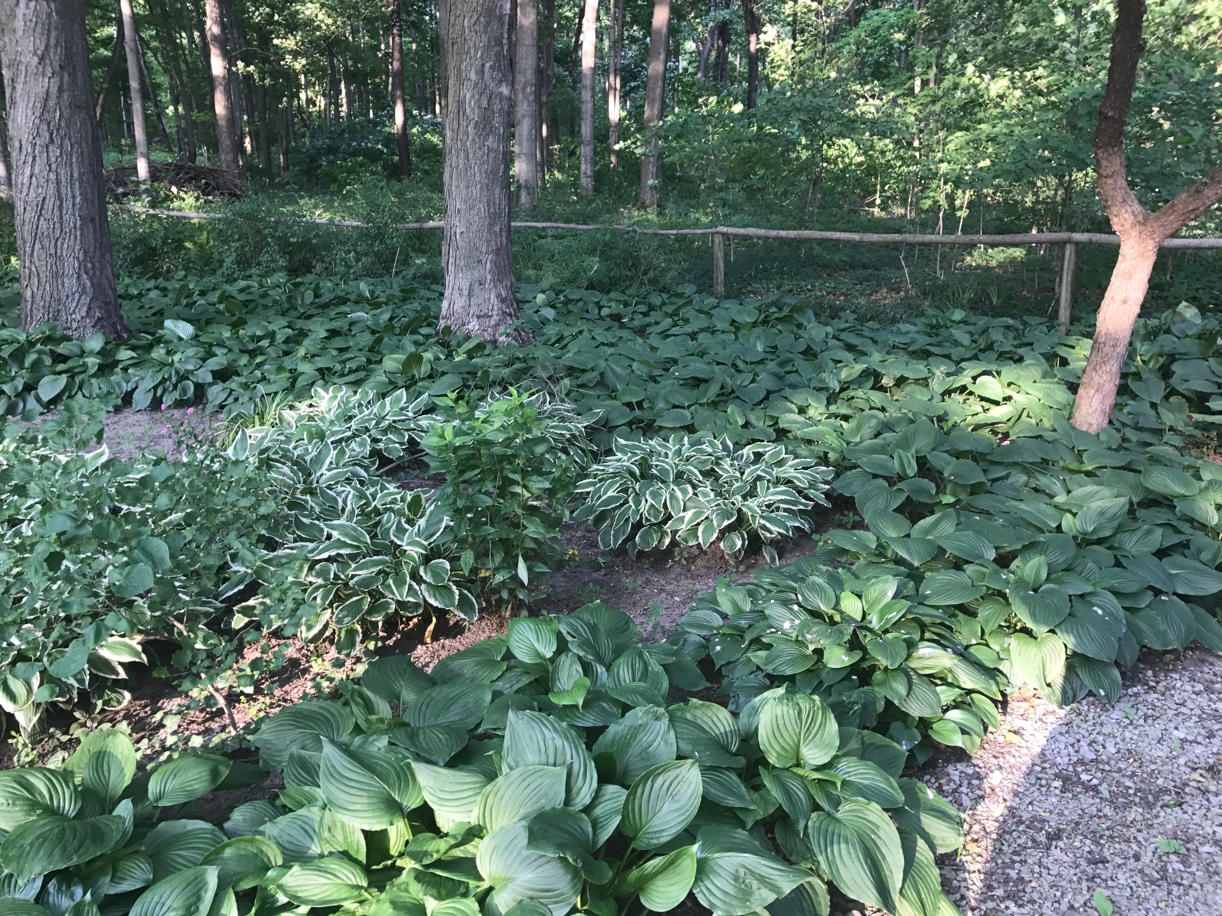 Real Estate Pictures