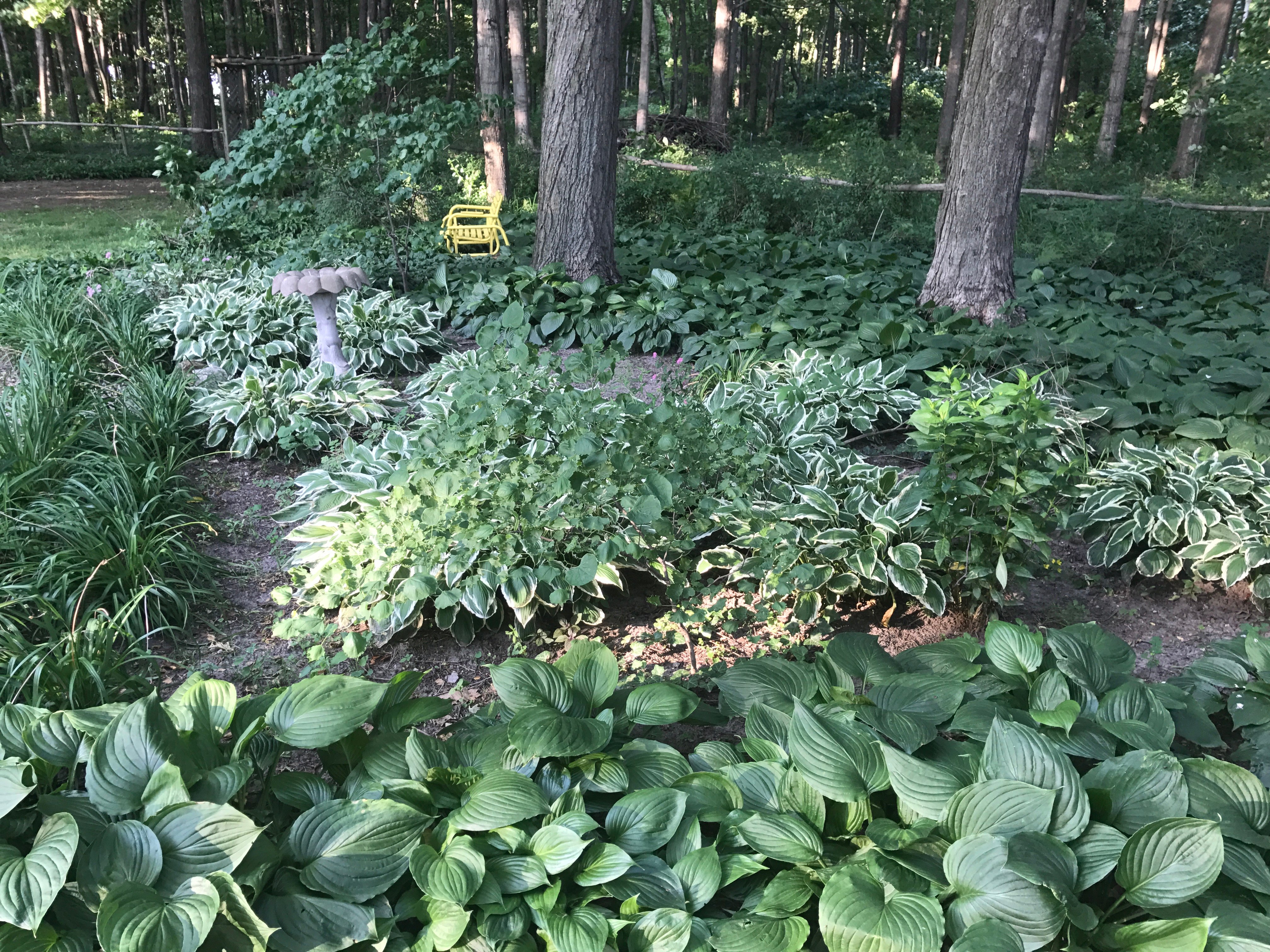 Real Estate Pictures