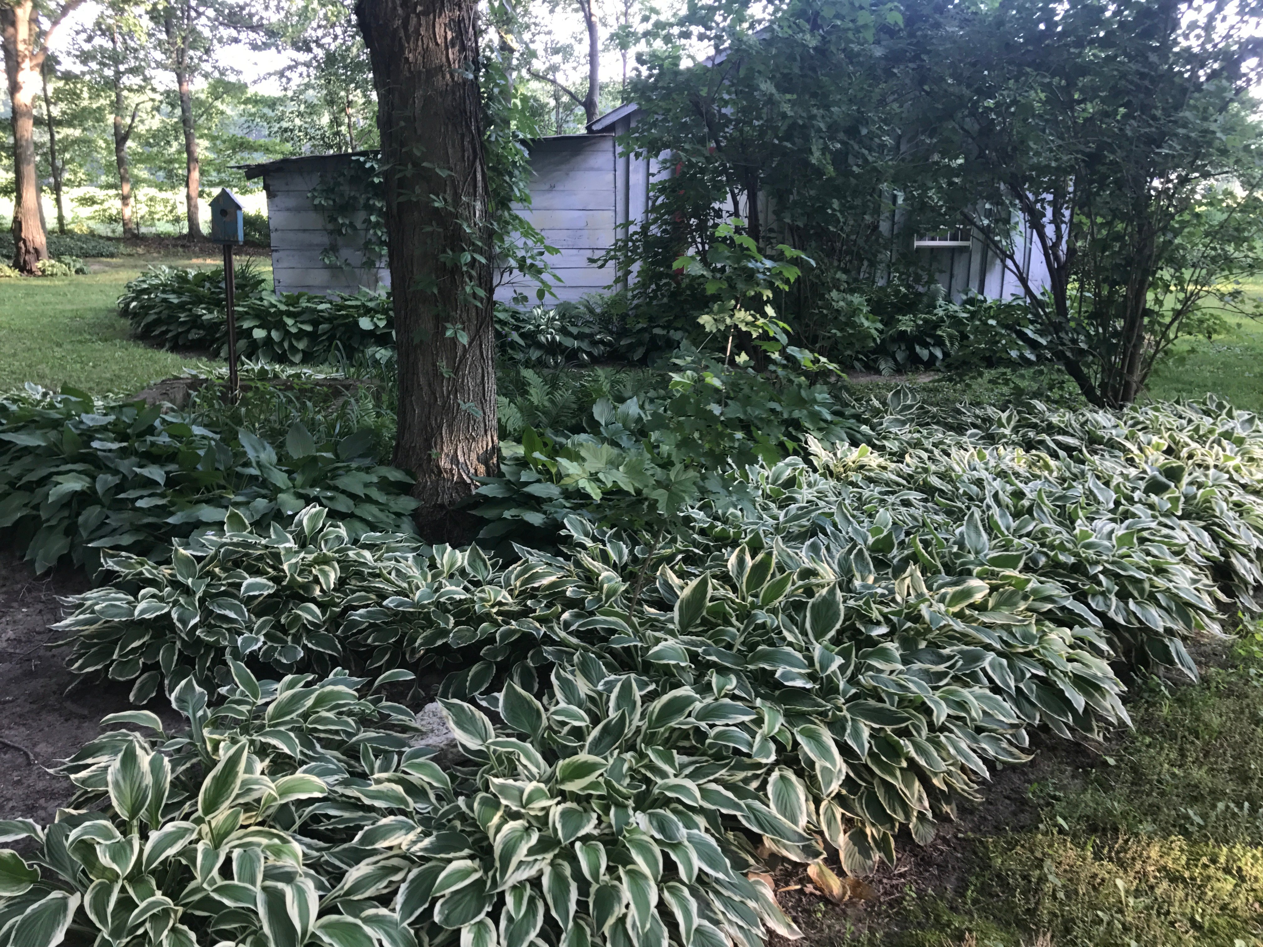 Real Estate Pictures