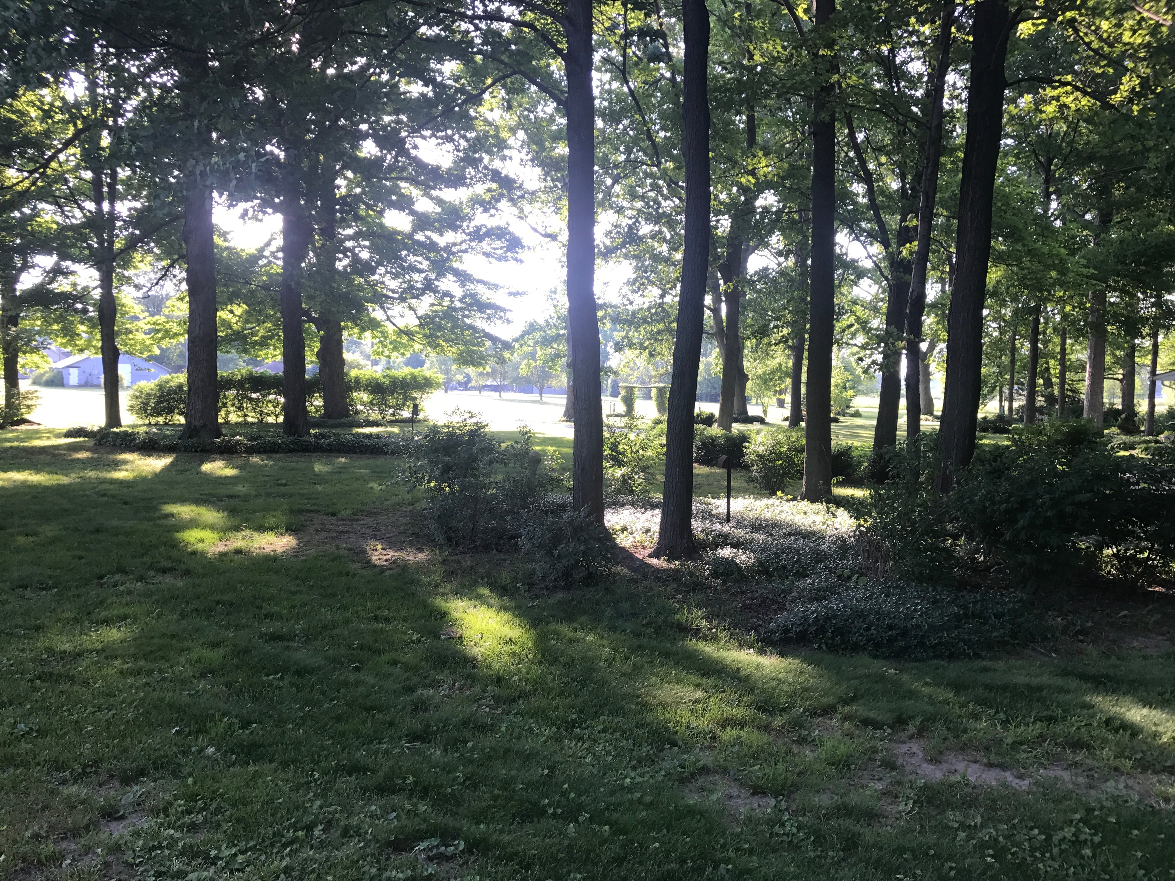 Real Estate Pictures