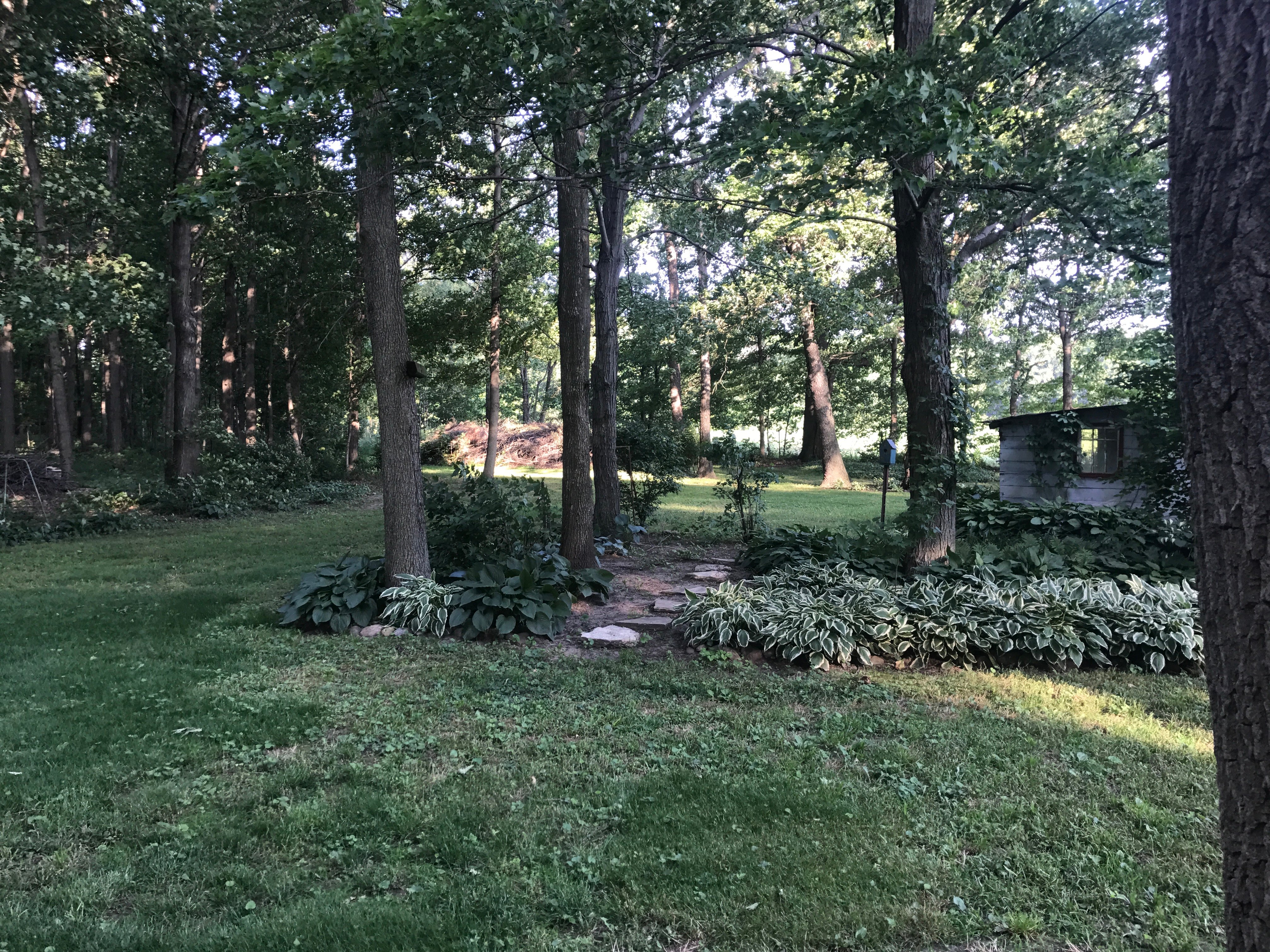 Real Estate Pictures