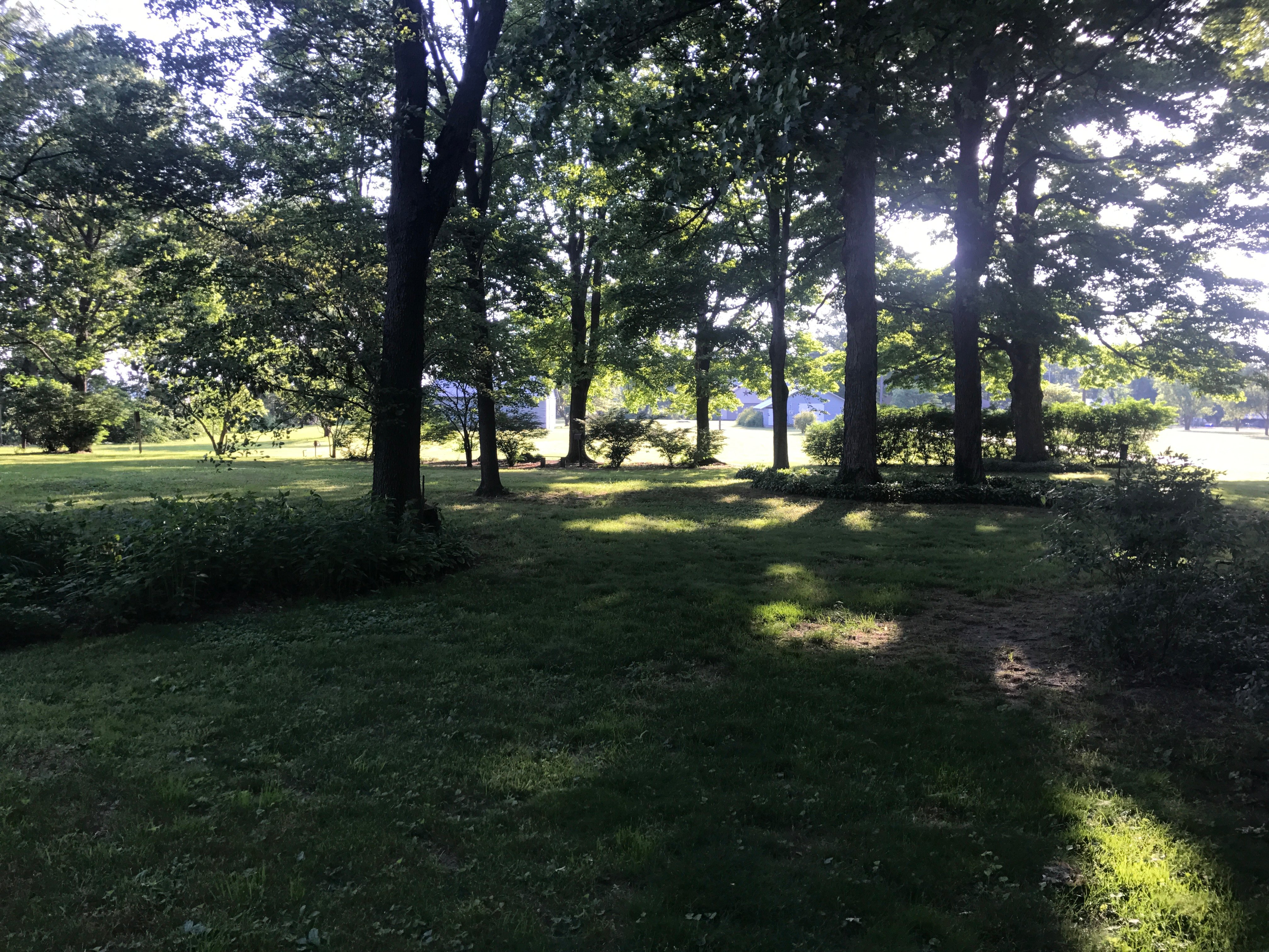 Real Estate Pictures