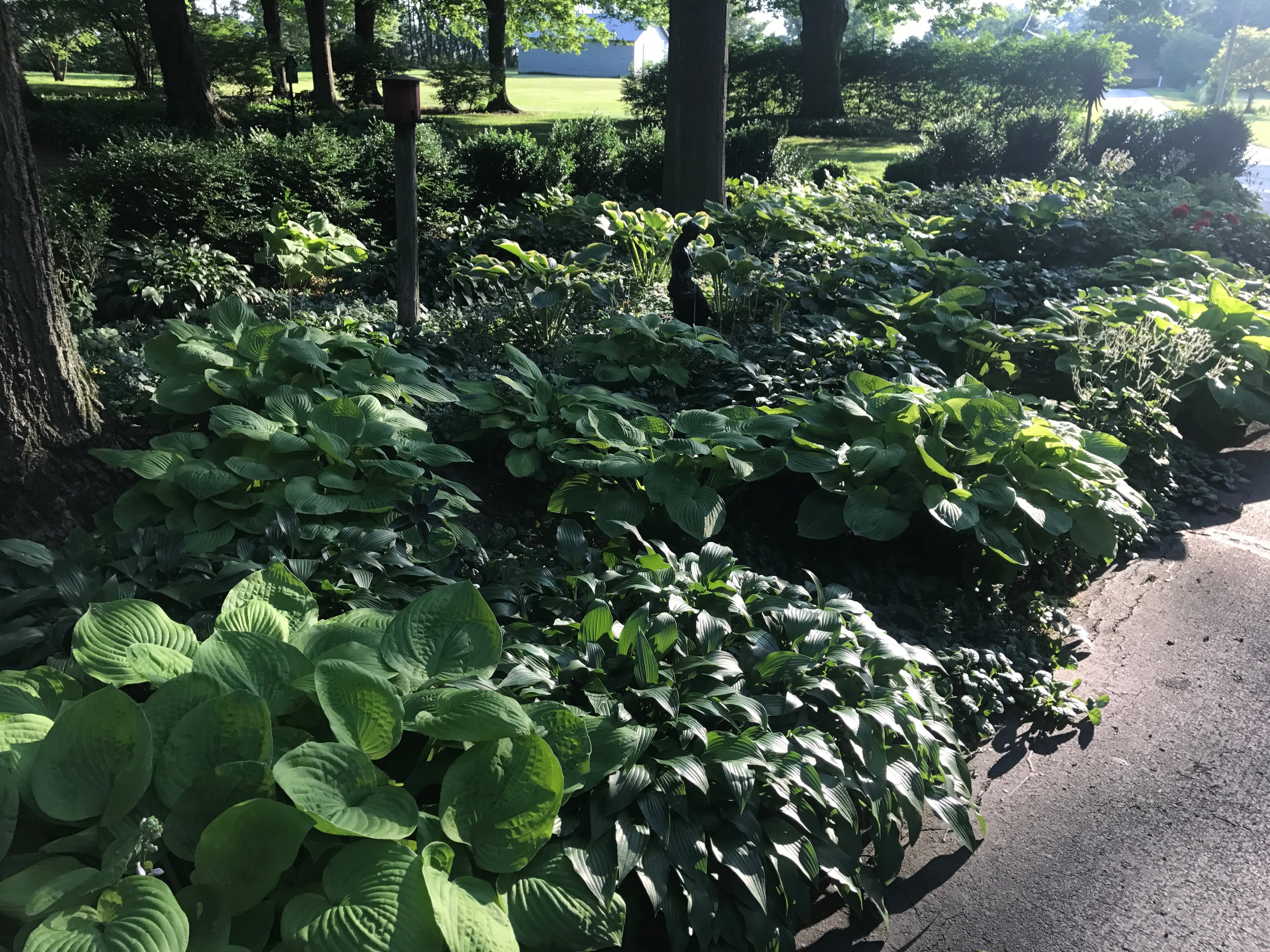 Real Estate Pictures