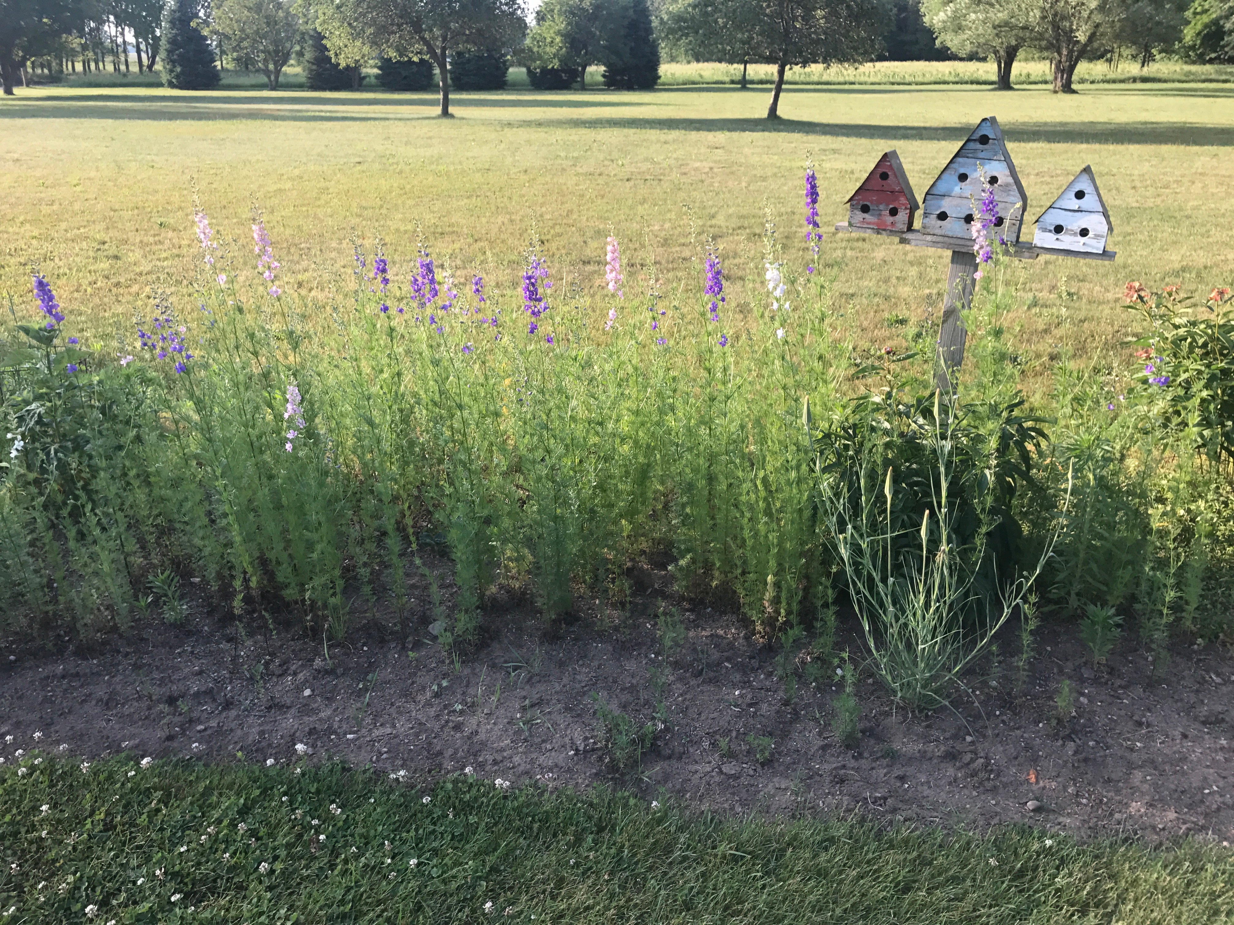 Real Estate Pictures