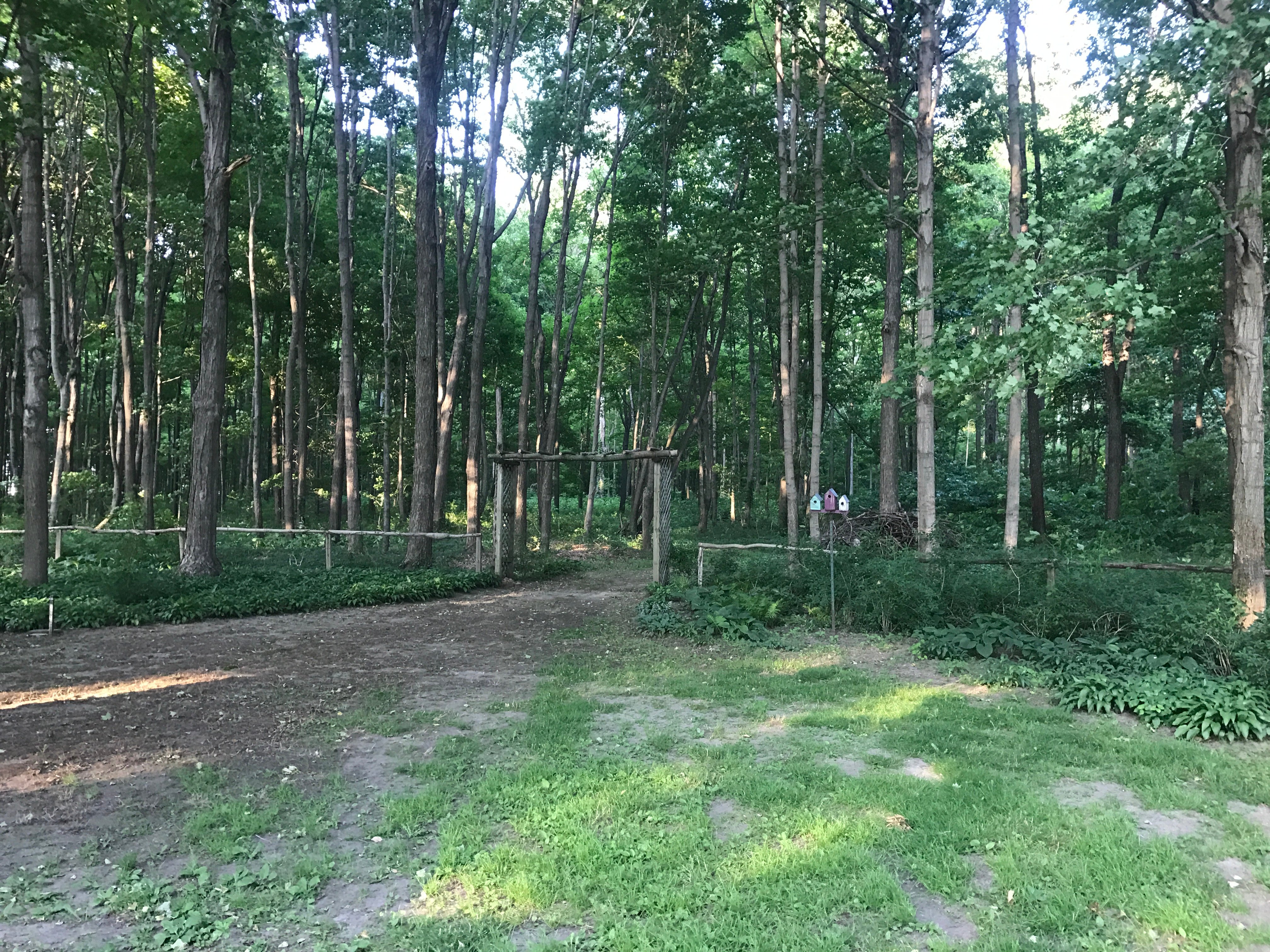 Real Estate Pictures