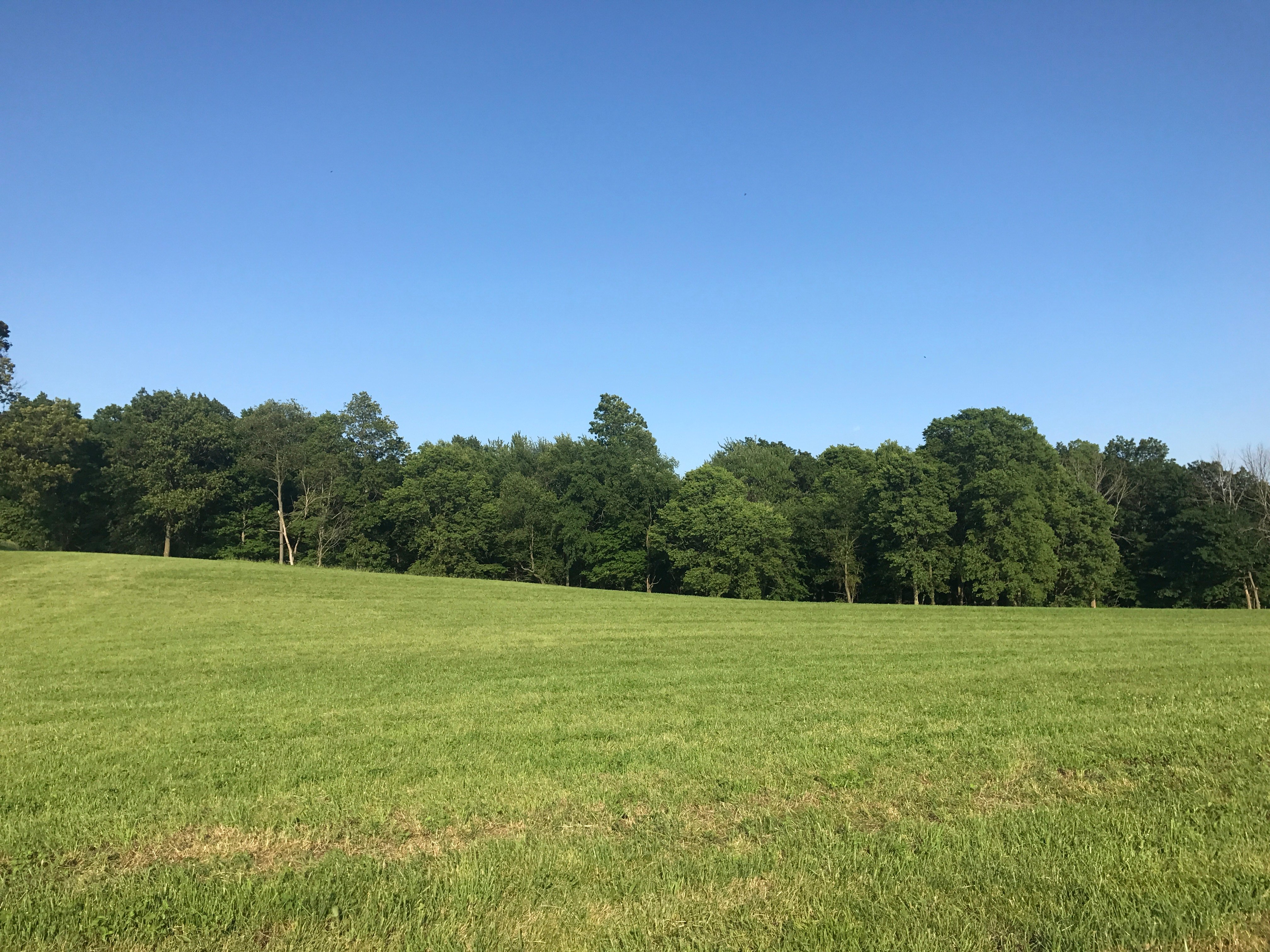 Real Estate Pictures