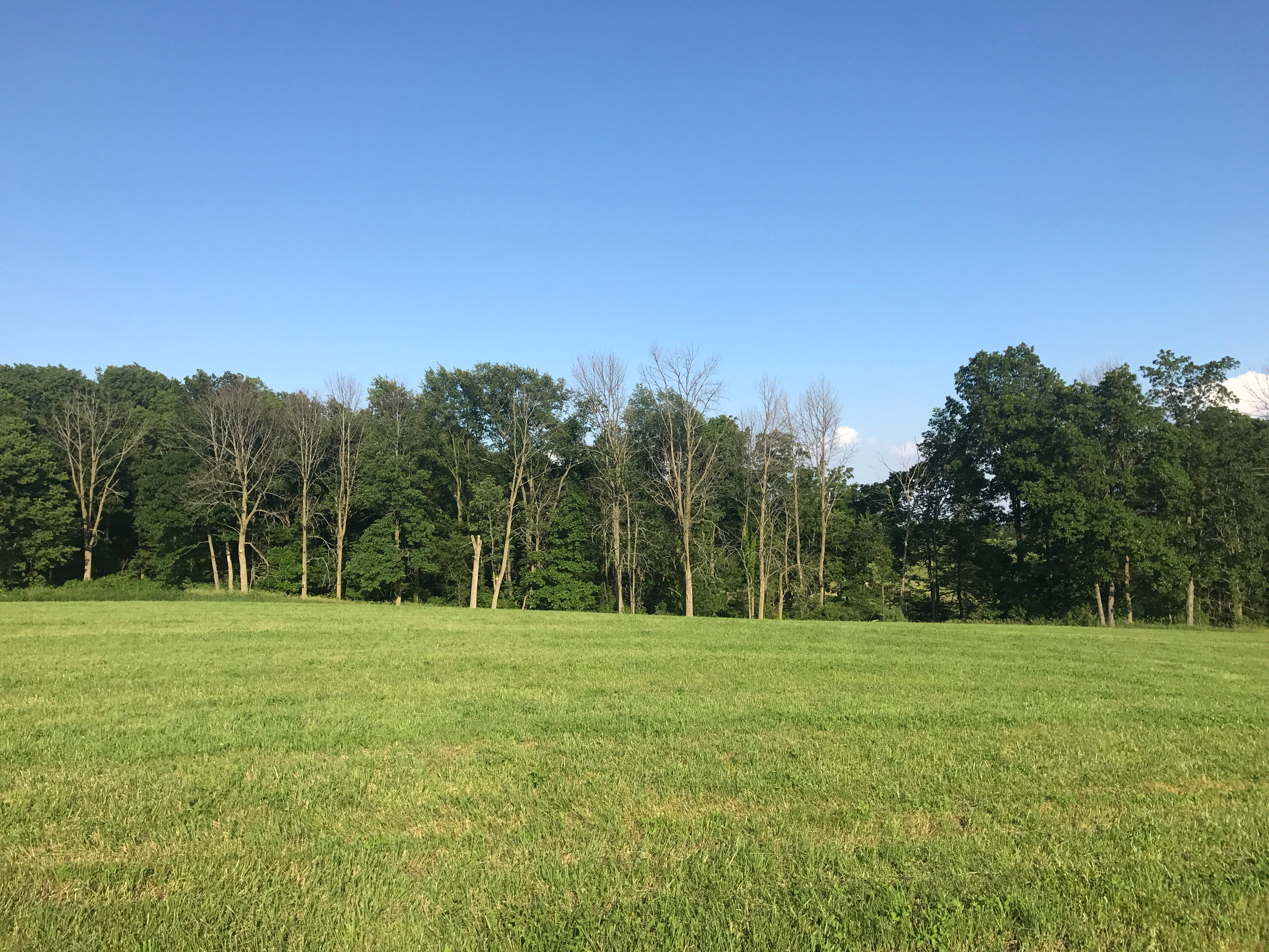 Real Estate Pictures