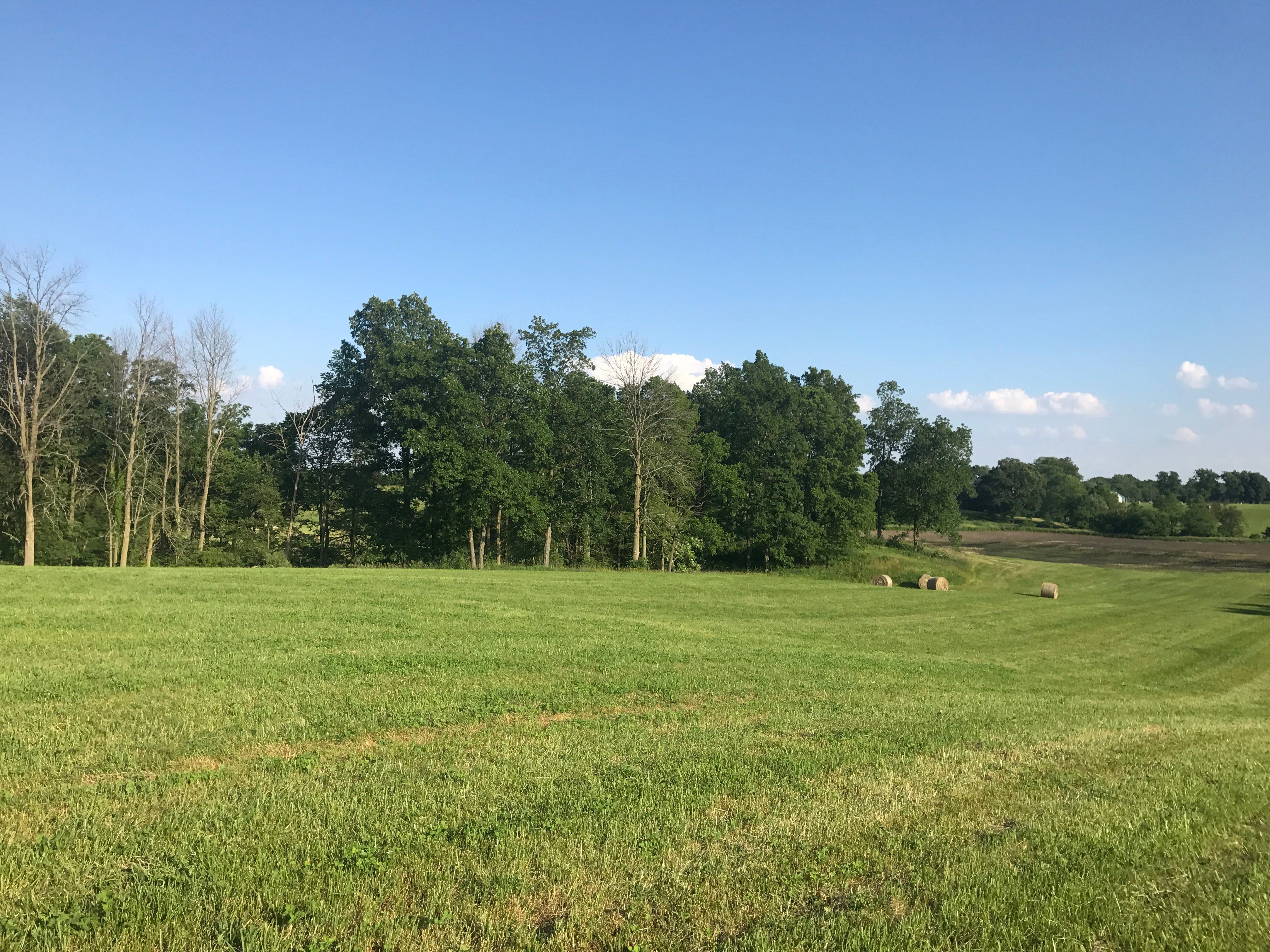 Real Estate Pictures