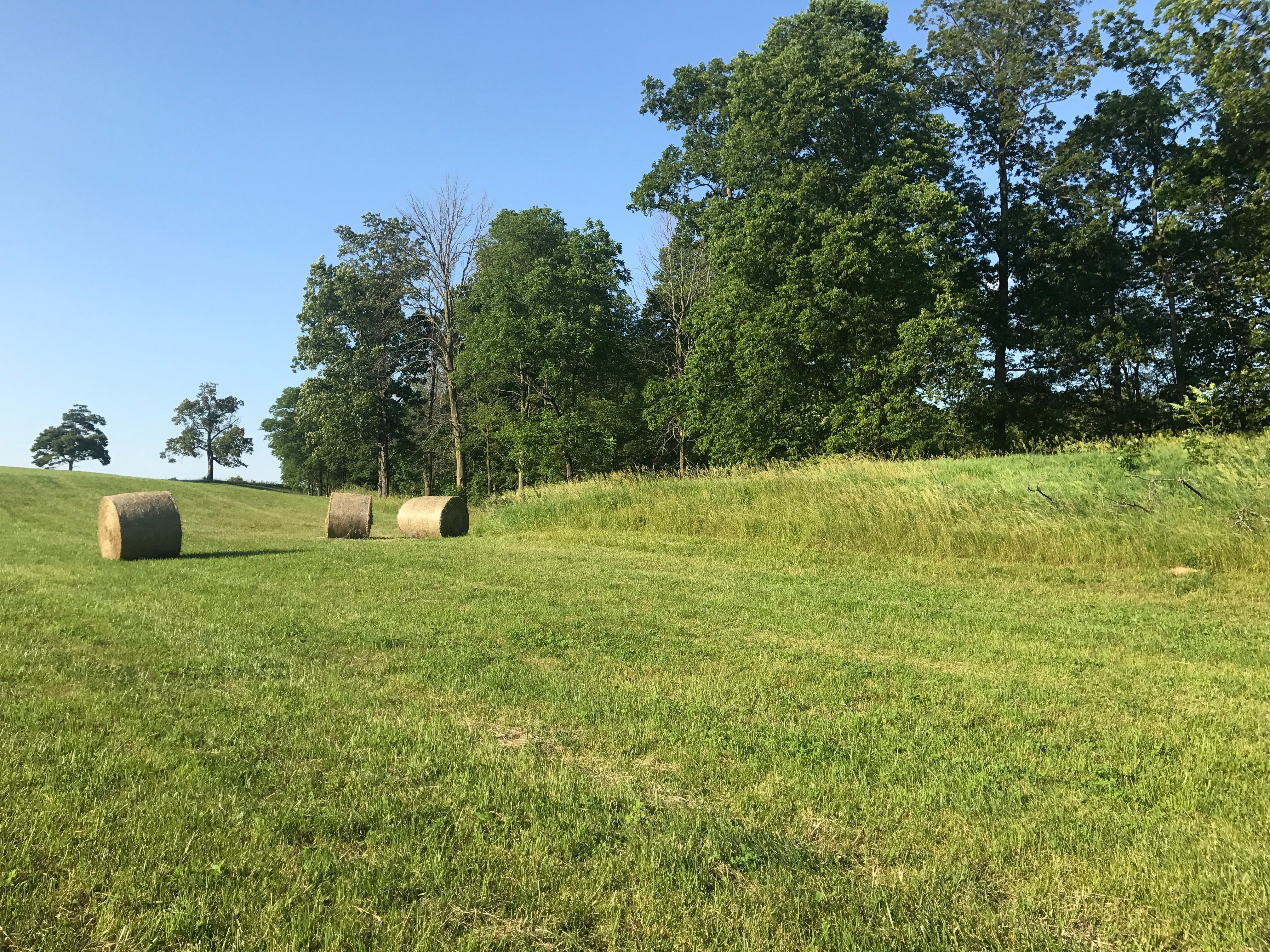 Real Estate Pictures