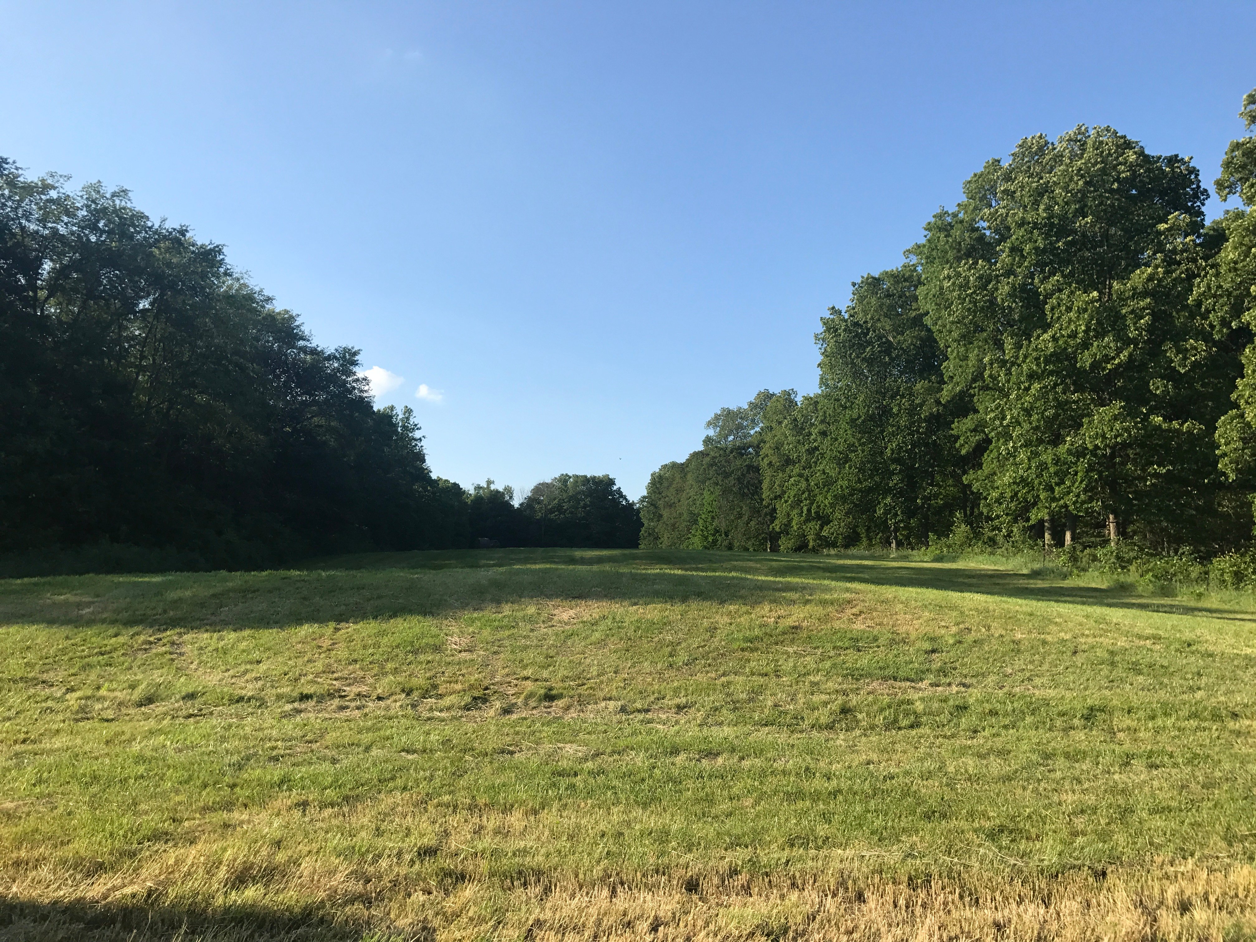 Real Estate Pictures