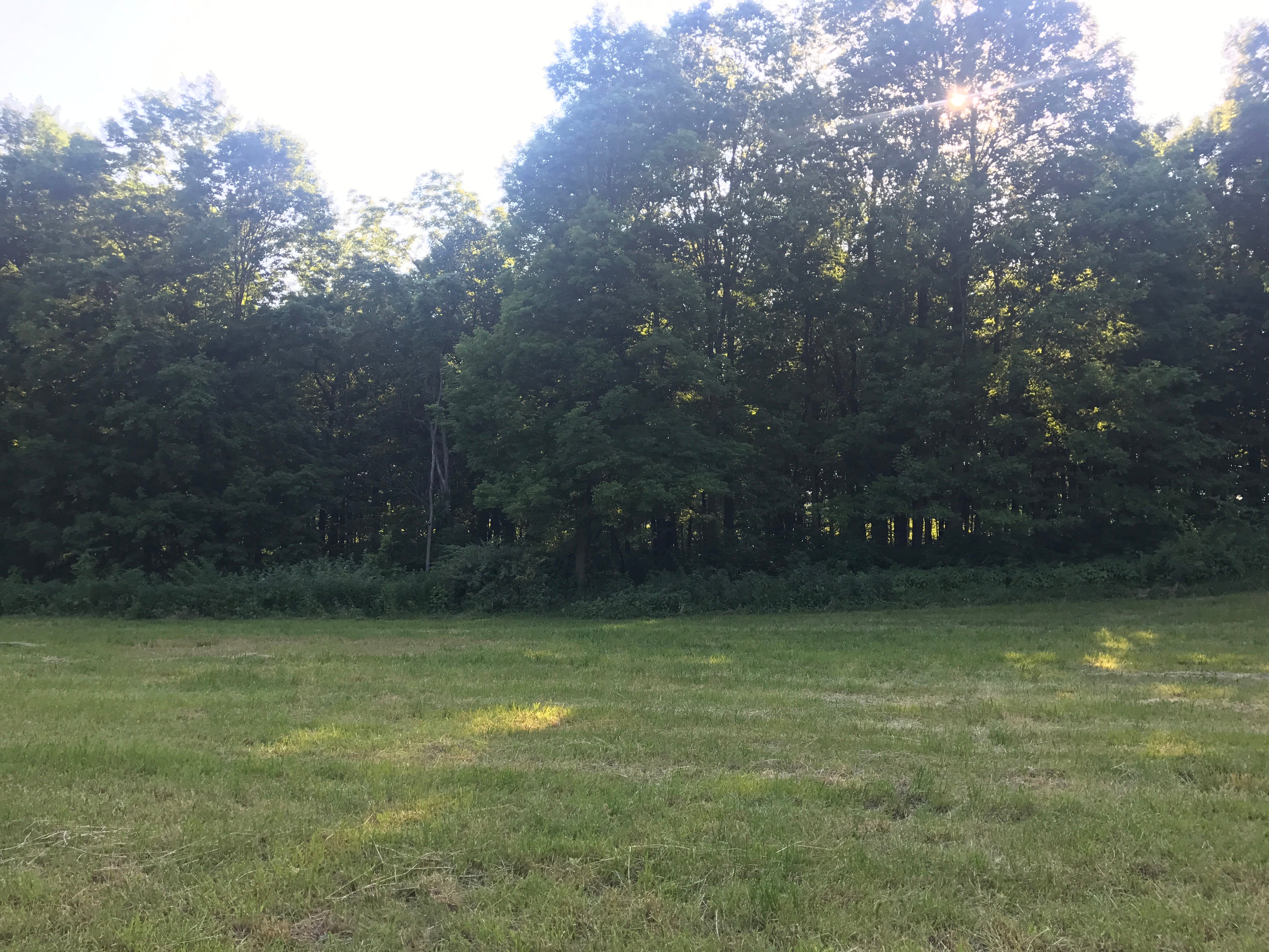 Real Estate Pictures