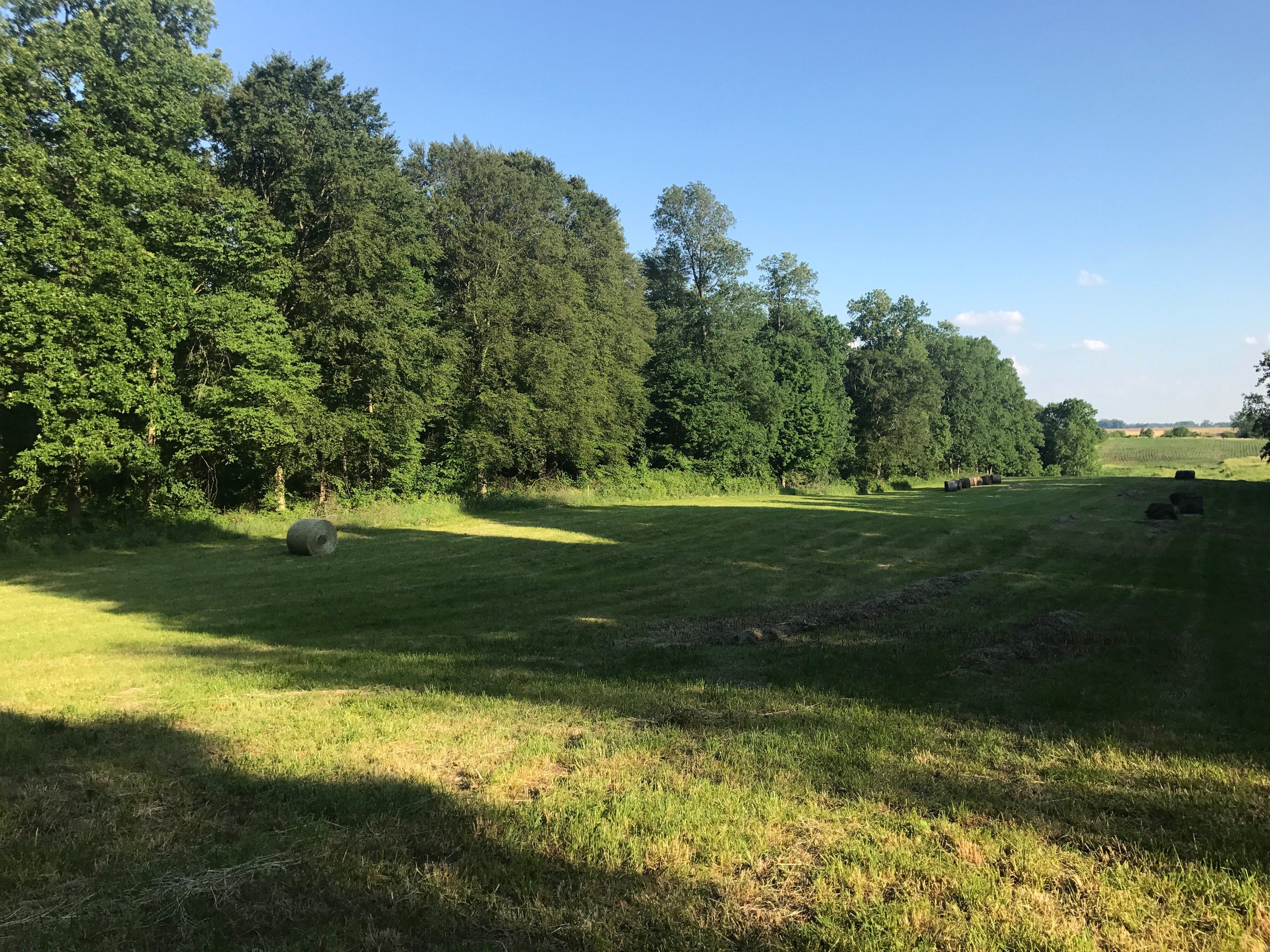 Real Estate Pictures