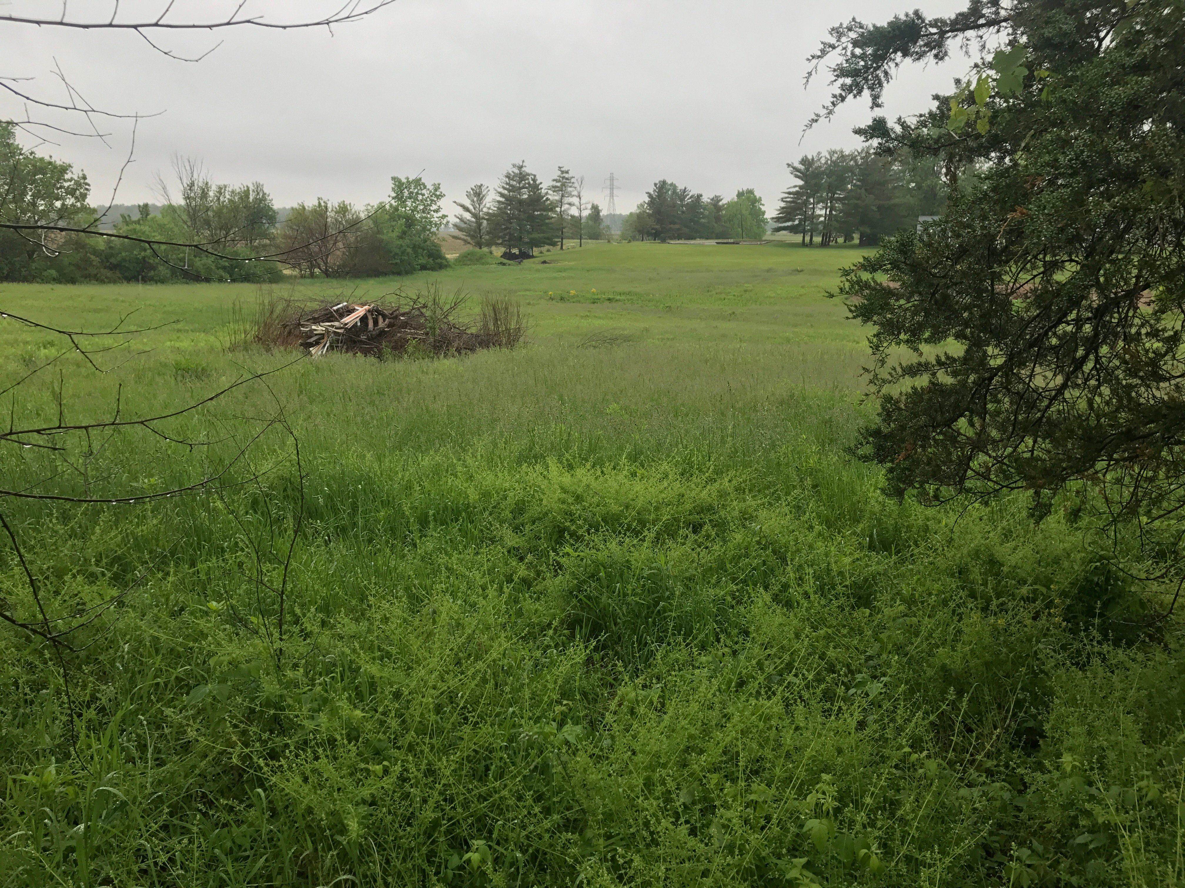 Real Estate Pictures