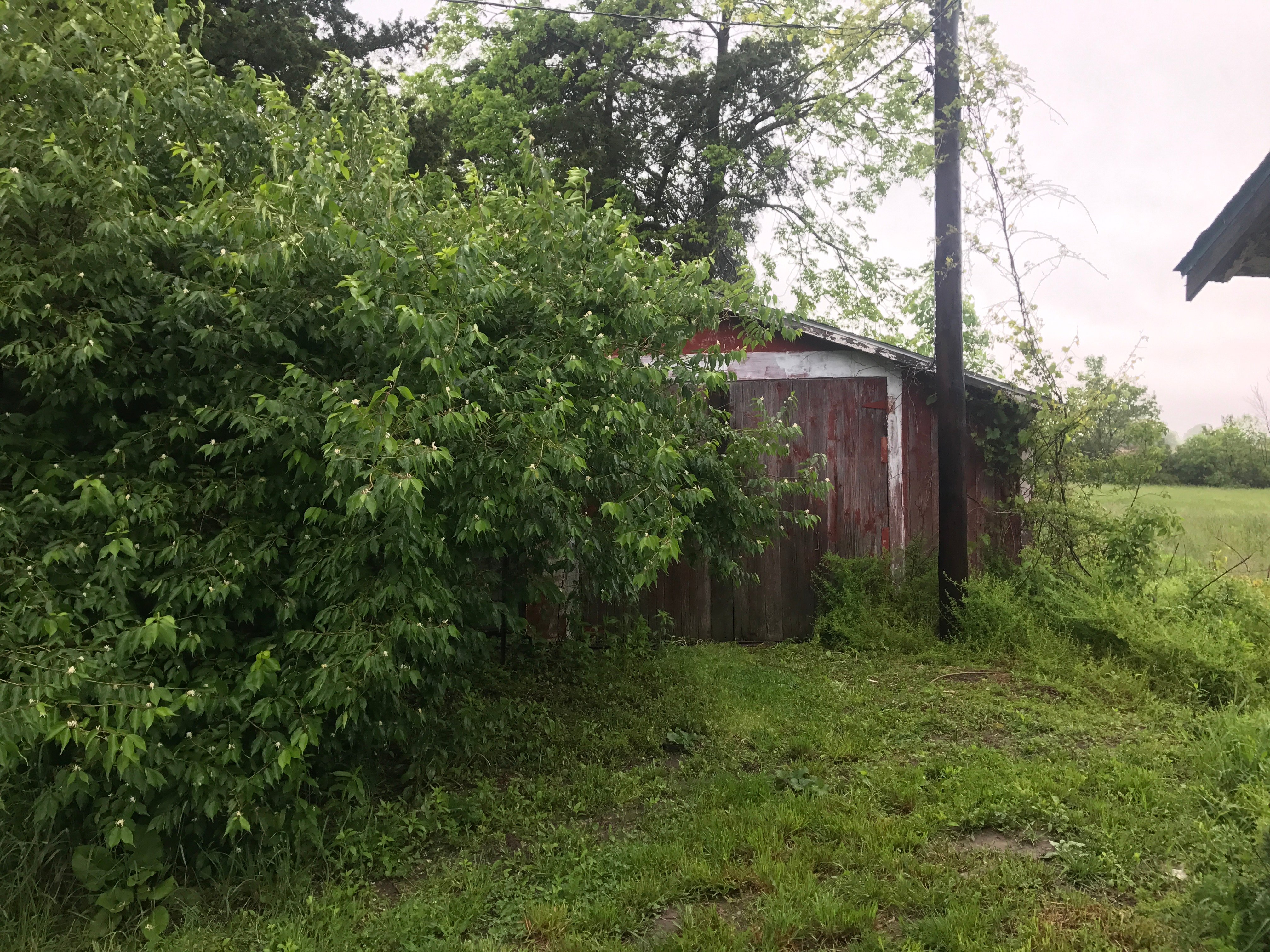 Real Estate Pictures