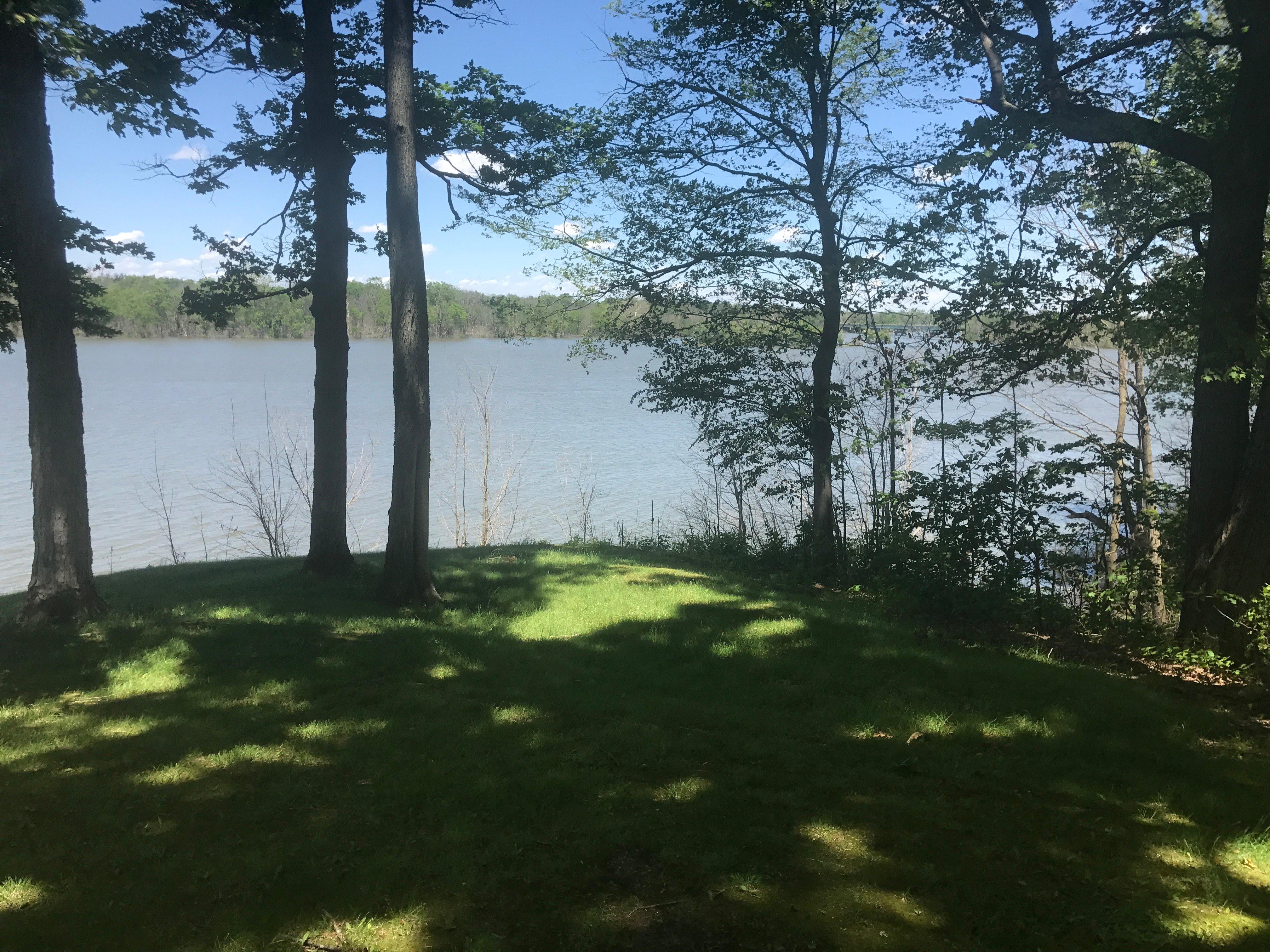 Real Estate Pictures