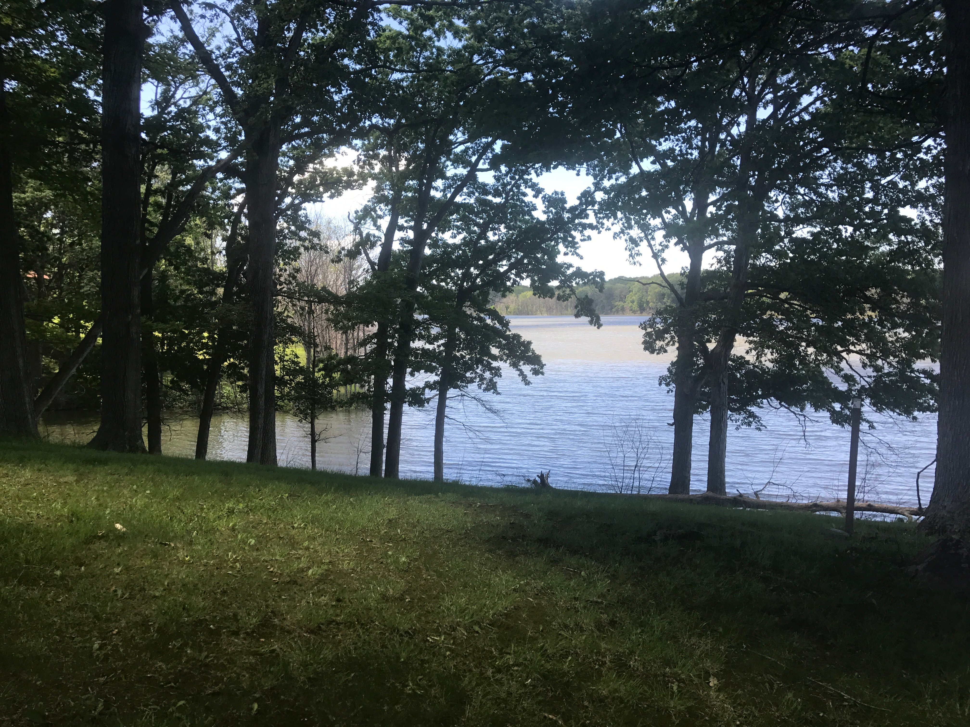 Real Estate Pictures