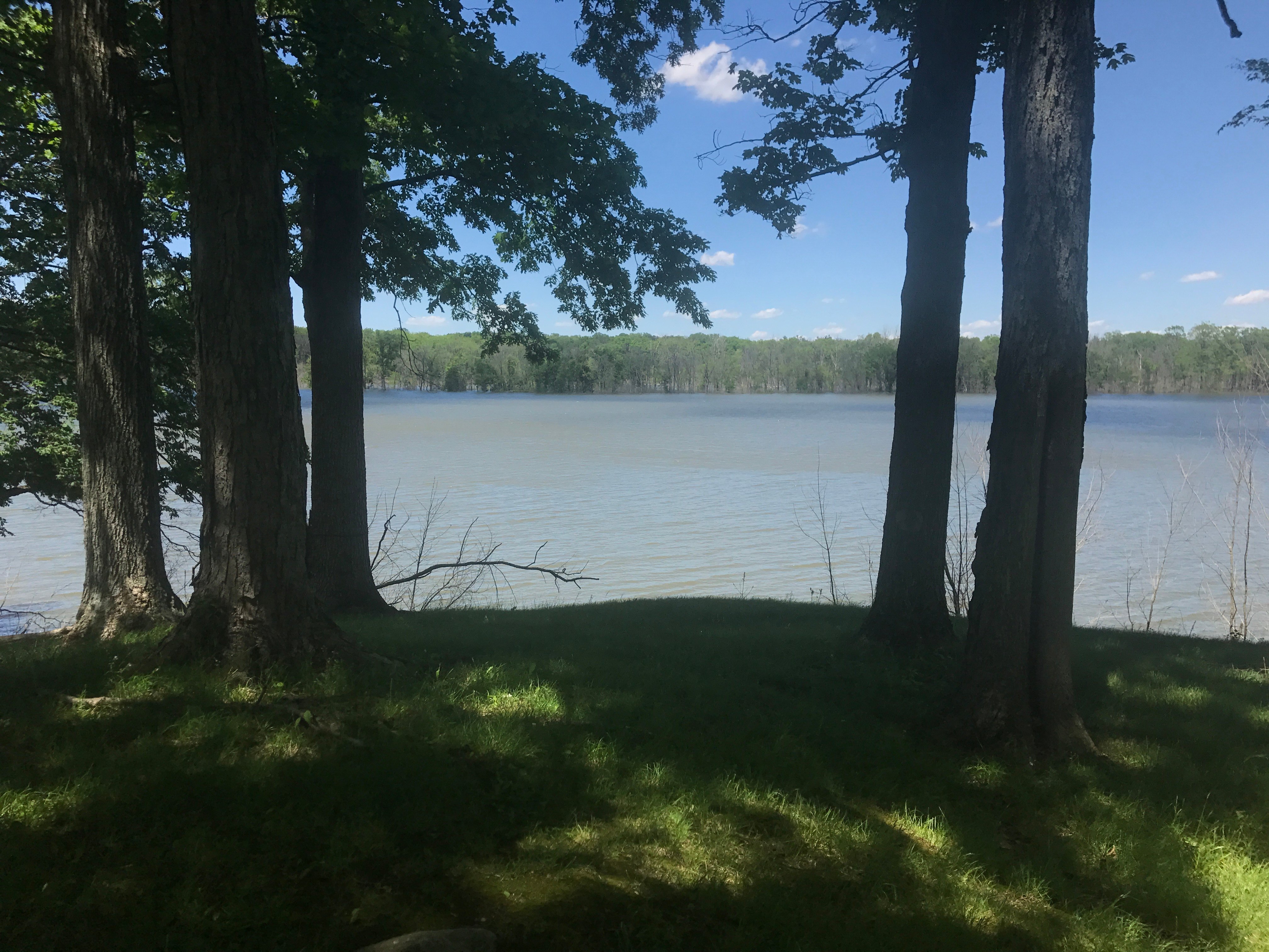 Real Estate Pictures