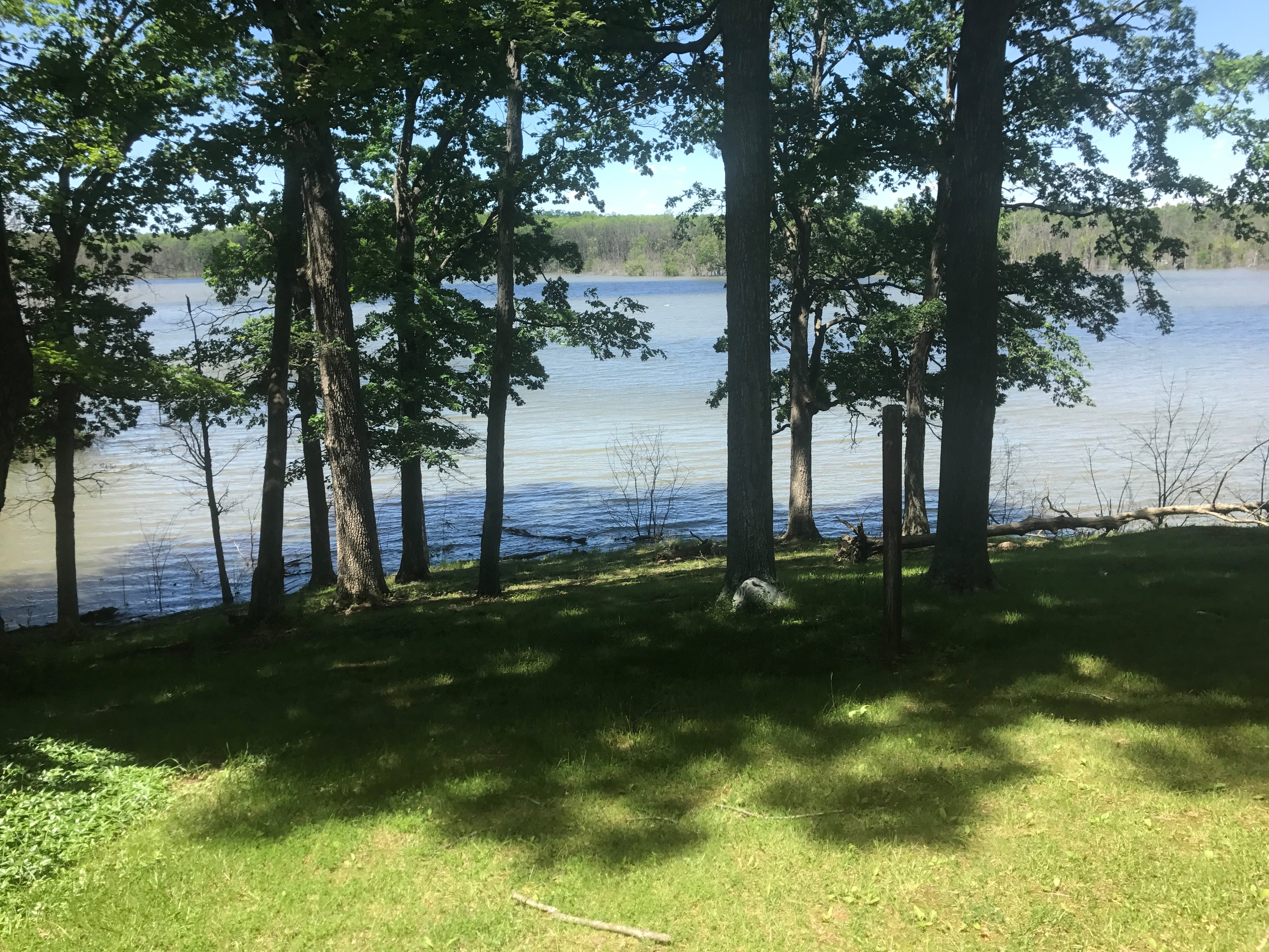 Real Estate Pictures