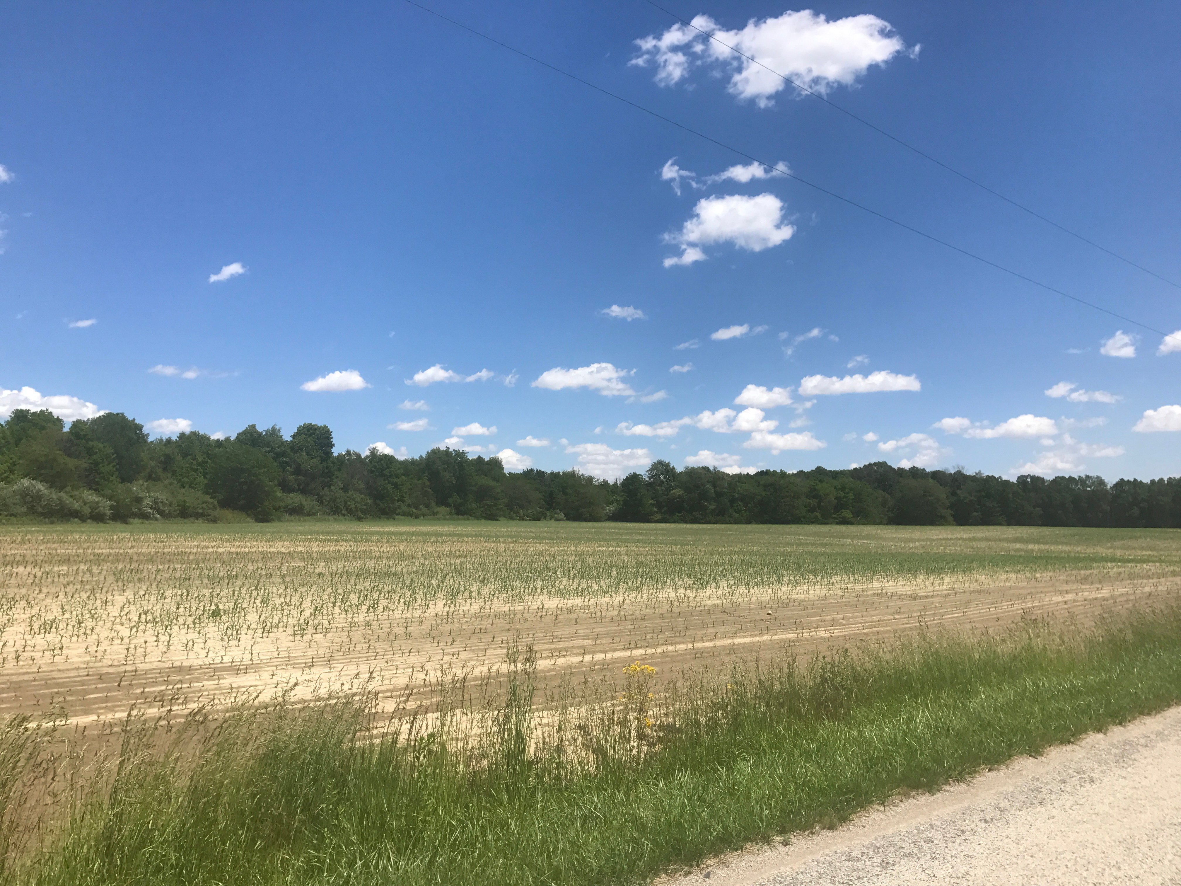 Real Estate Pictures