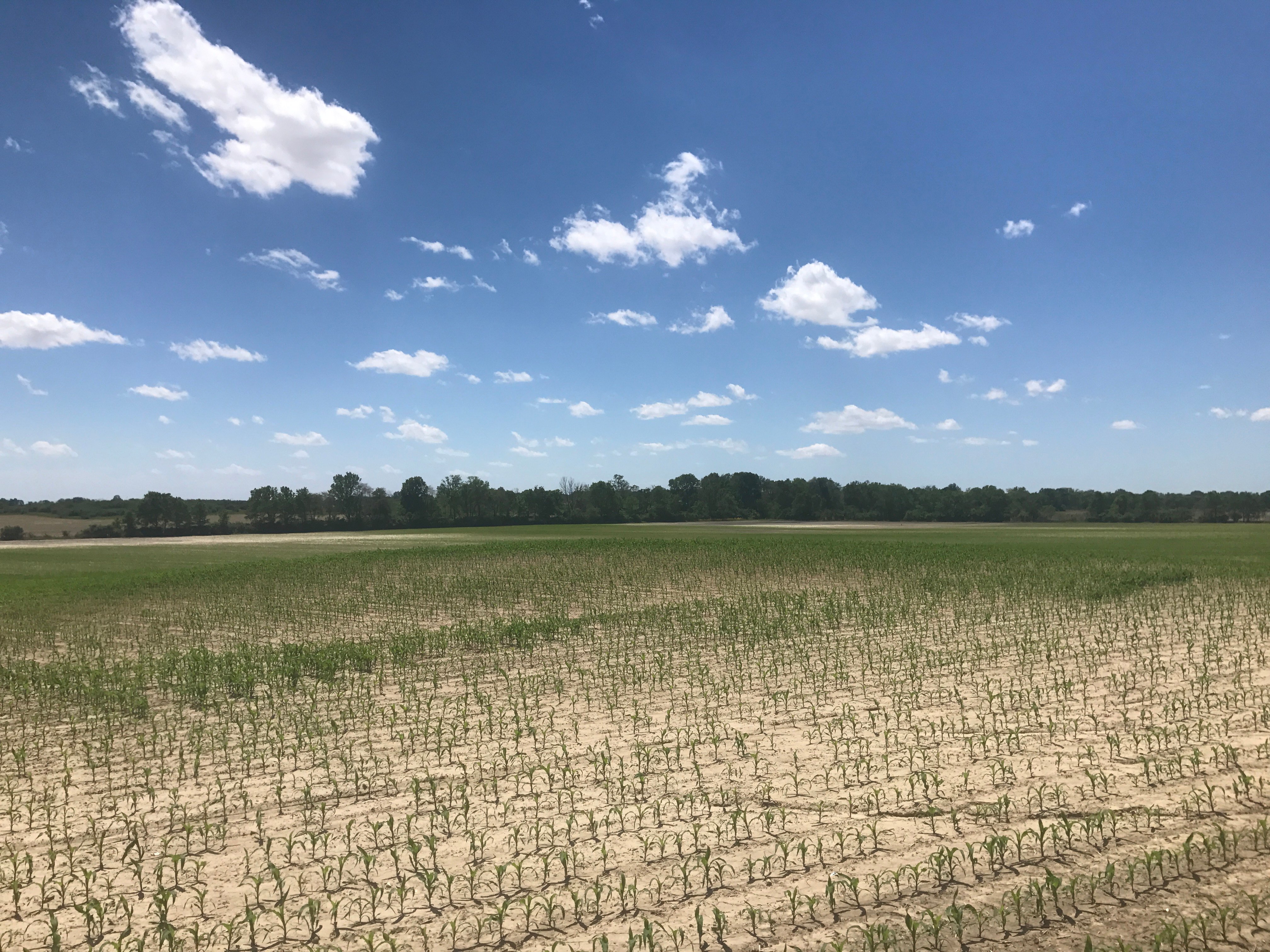 Real Estate Pictures