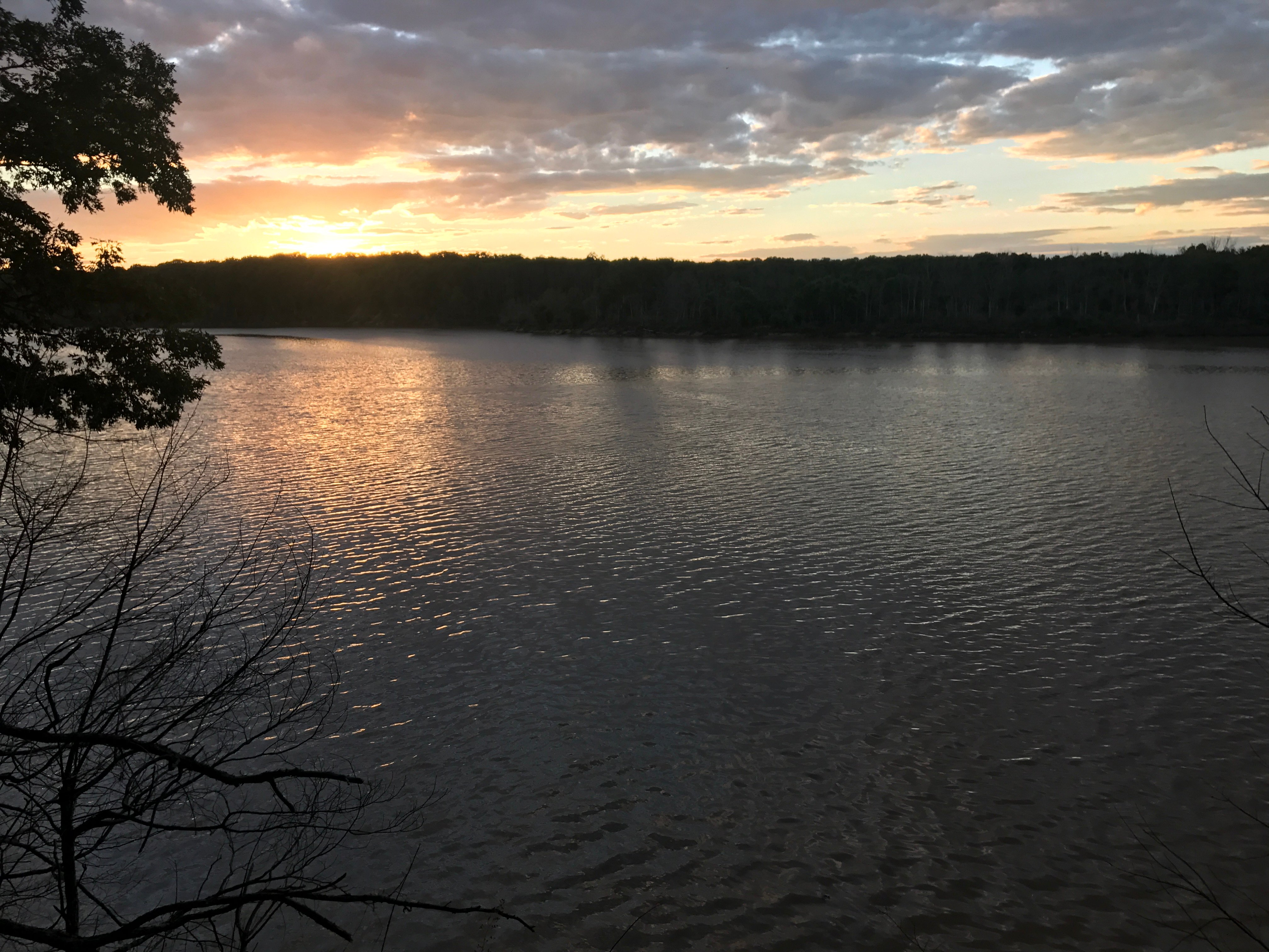 Real Estate Pictures