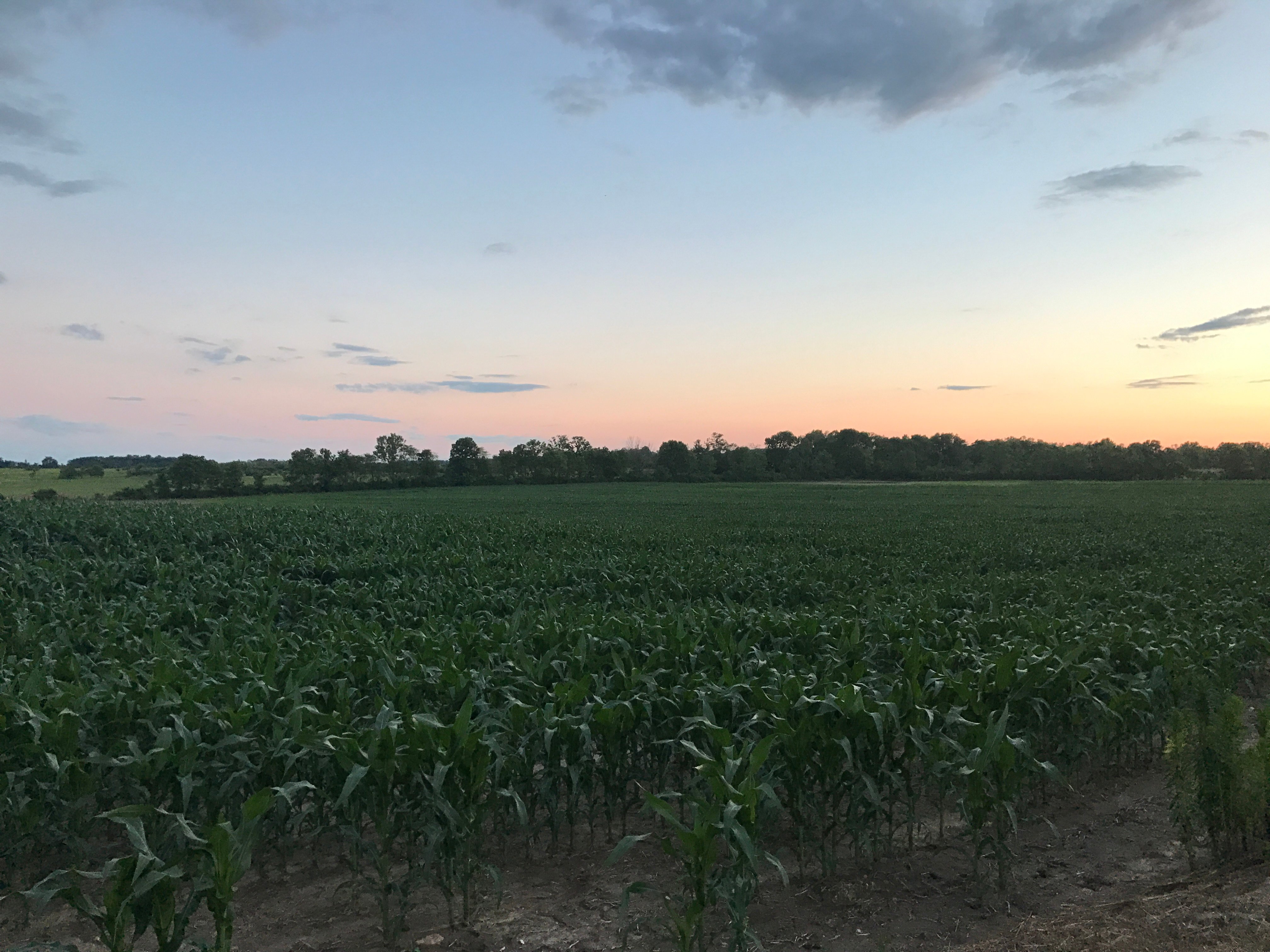 Real Estate Pictures