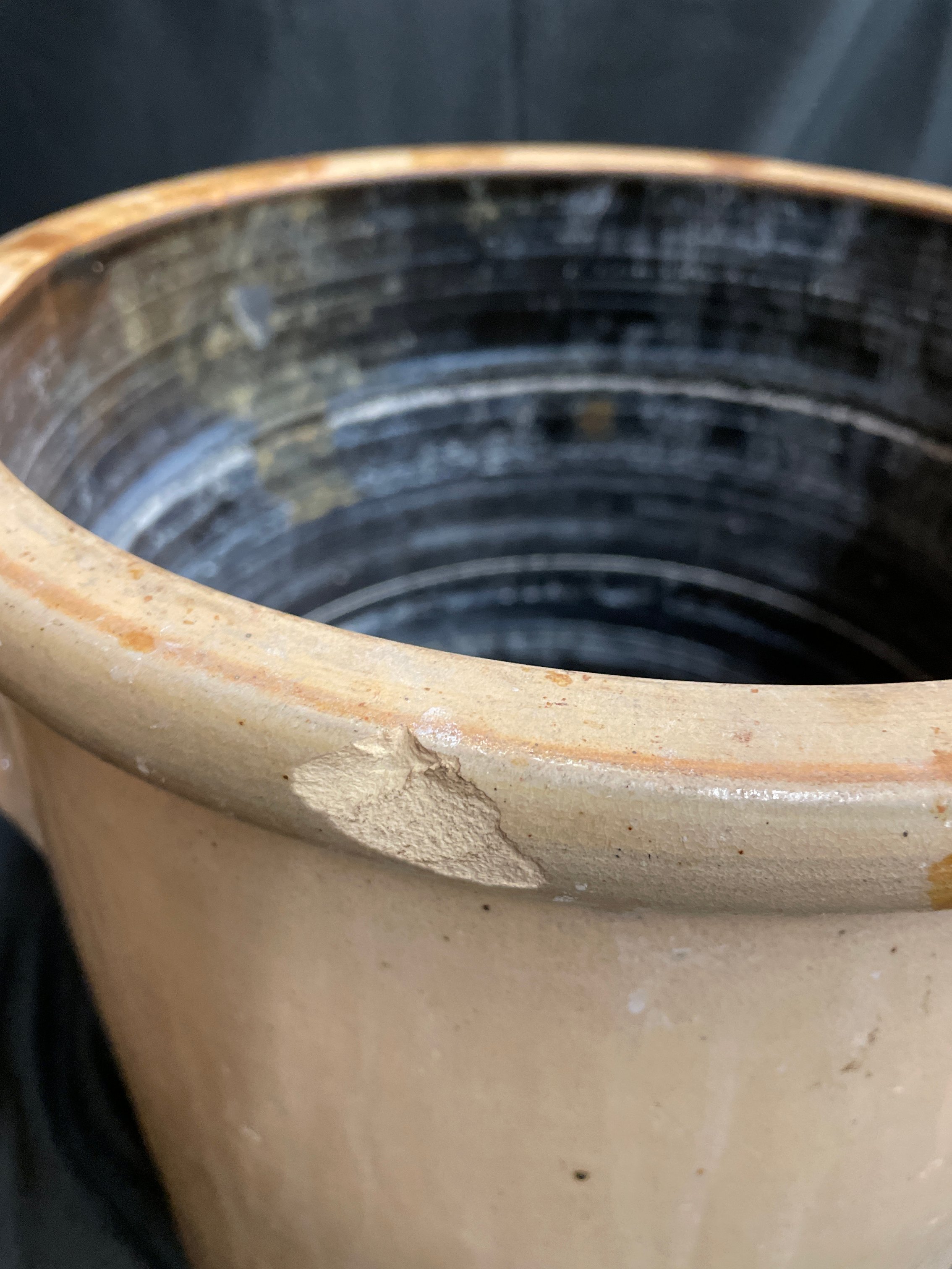 Online Only Catalog!