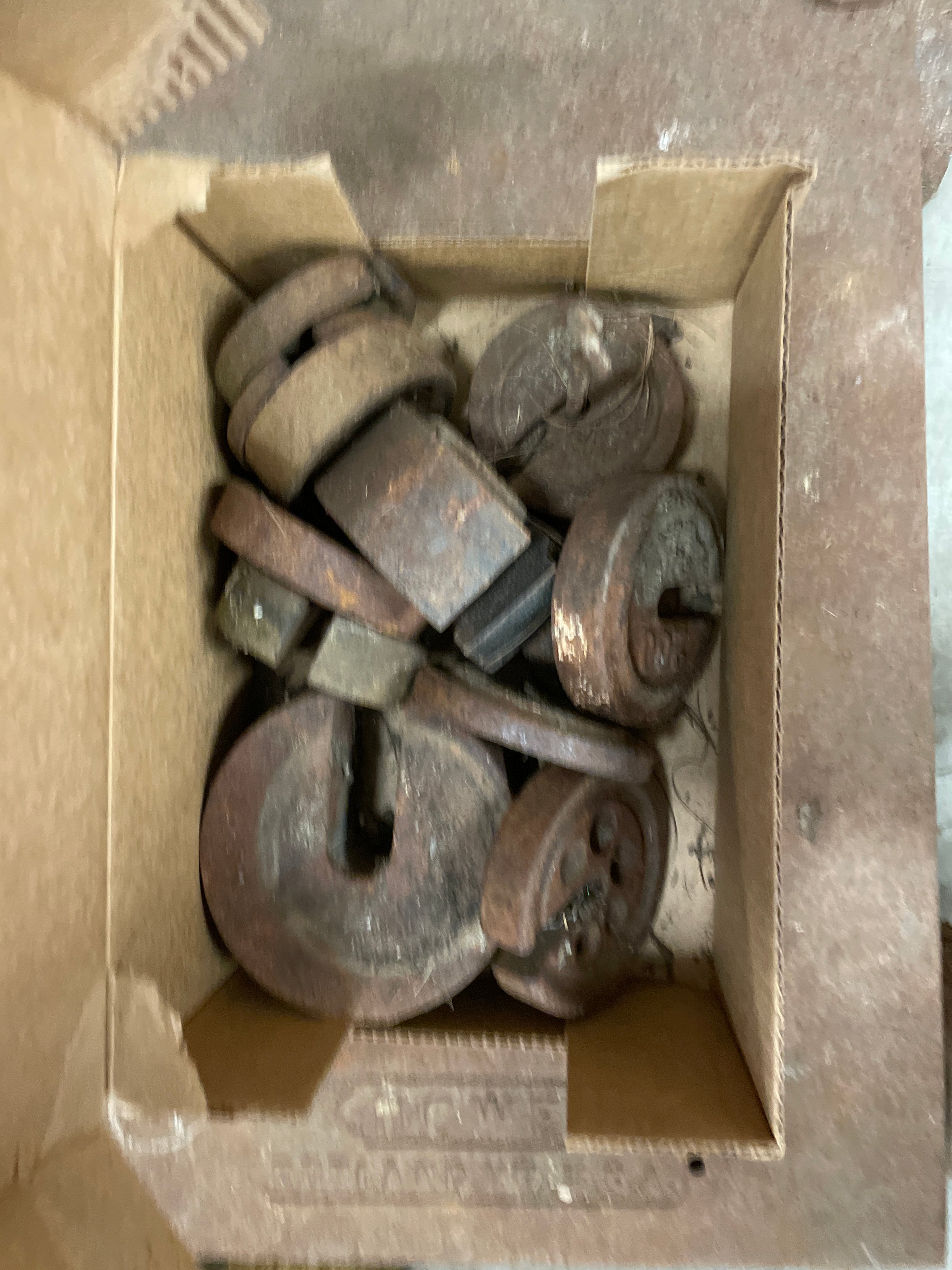 Online Only Catalog!