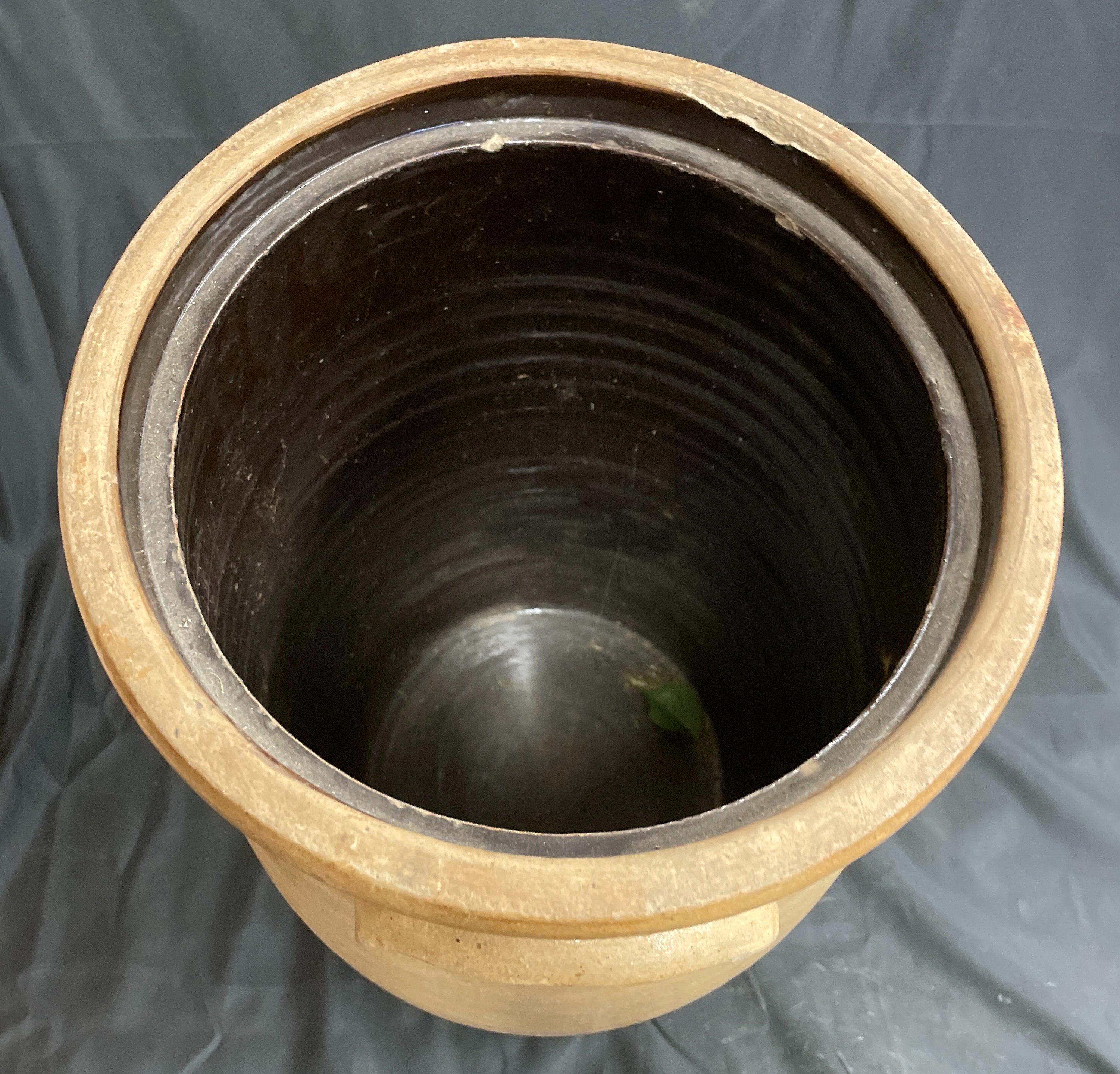 Online Only Catalog!