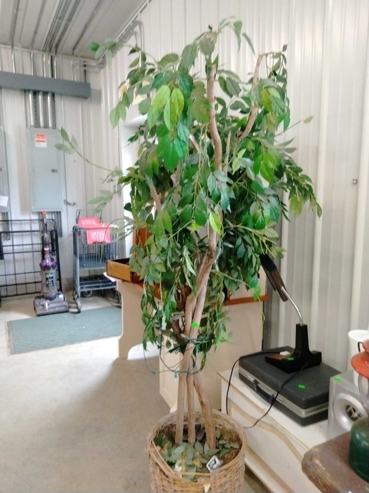 Online Bidding Only!