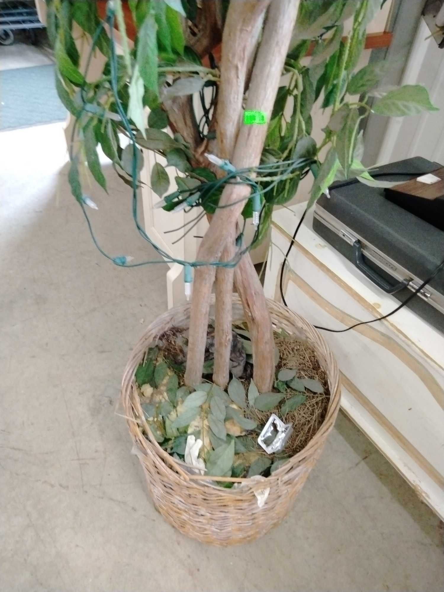 Online Bidding Only!