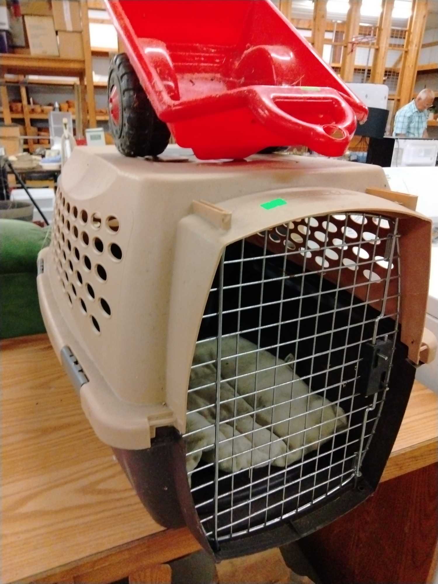 Online Bidding Only!