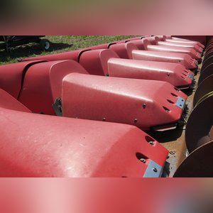 Case IH Corn Head: 1083 8 row with Poly conversion, rebuilt, SN# JJC0149410