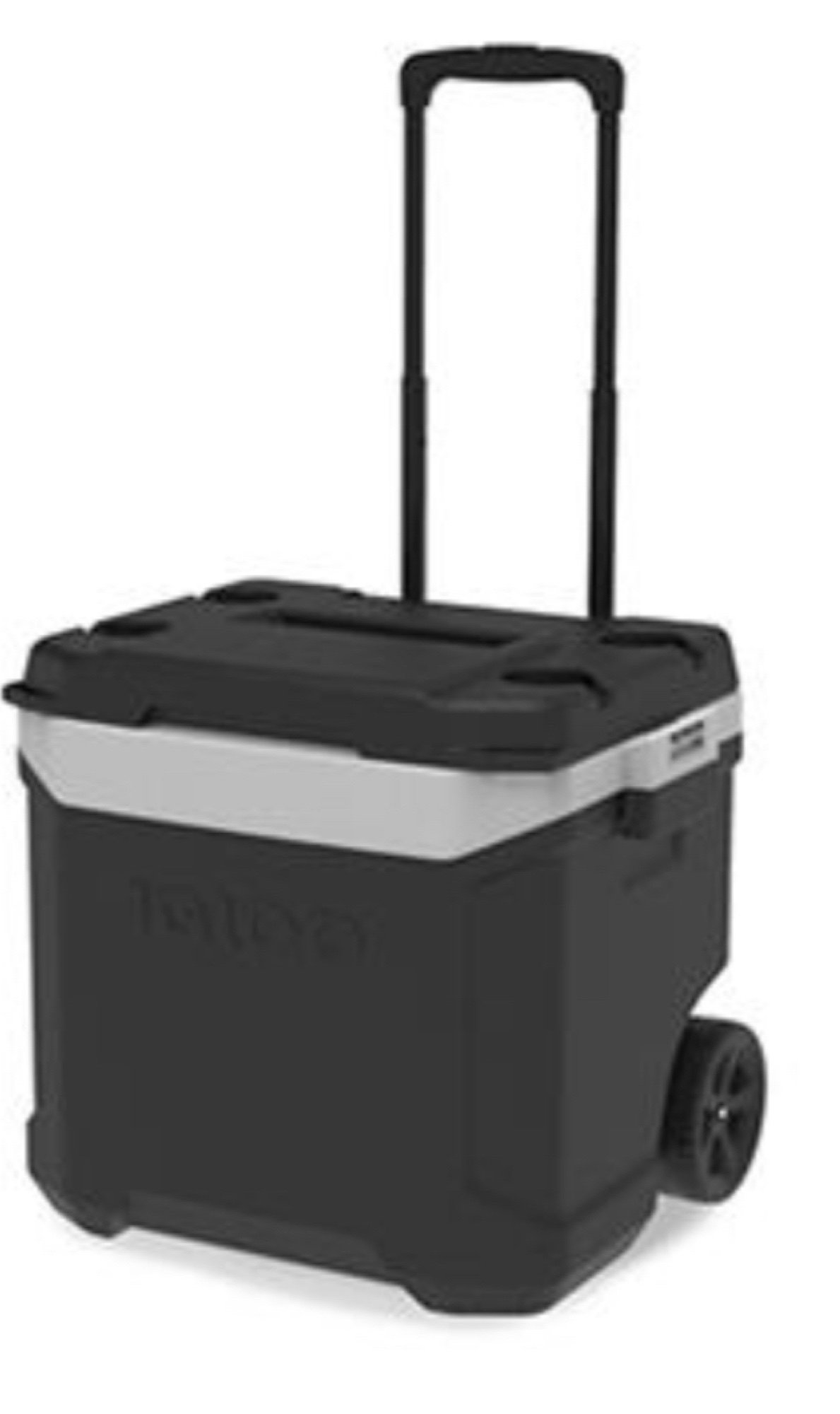 Online Only Bidding!