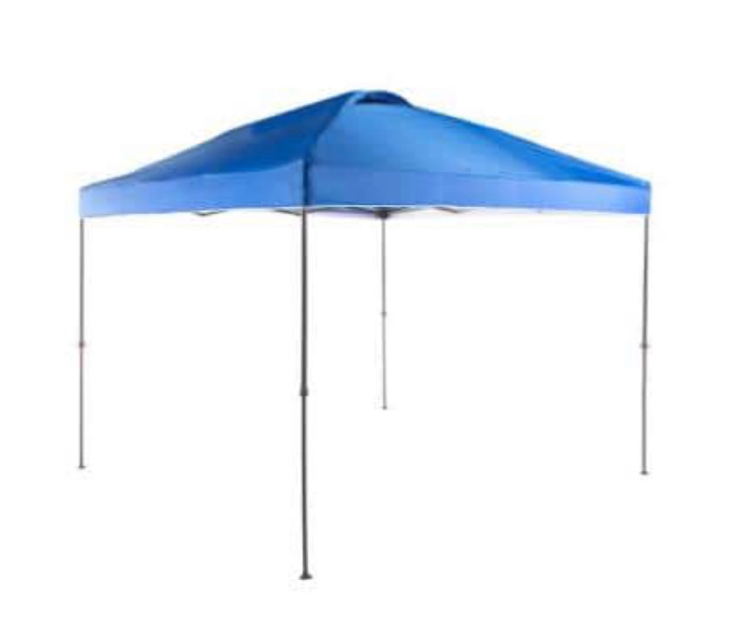 Online Only Bidding!