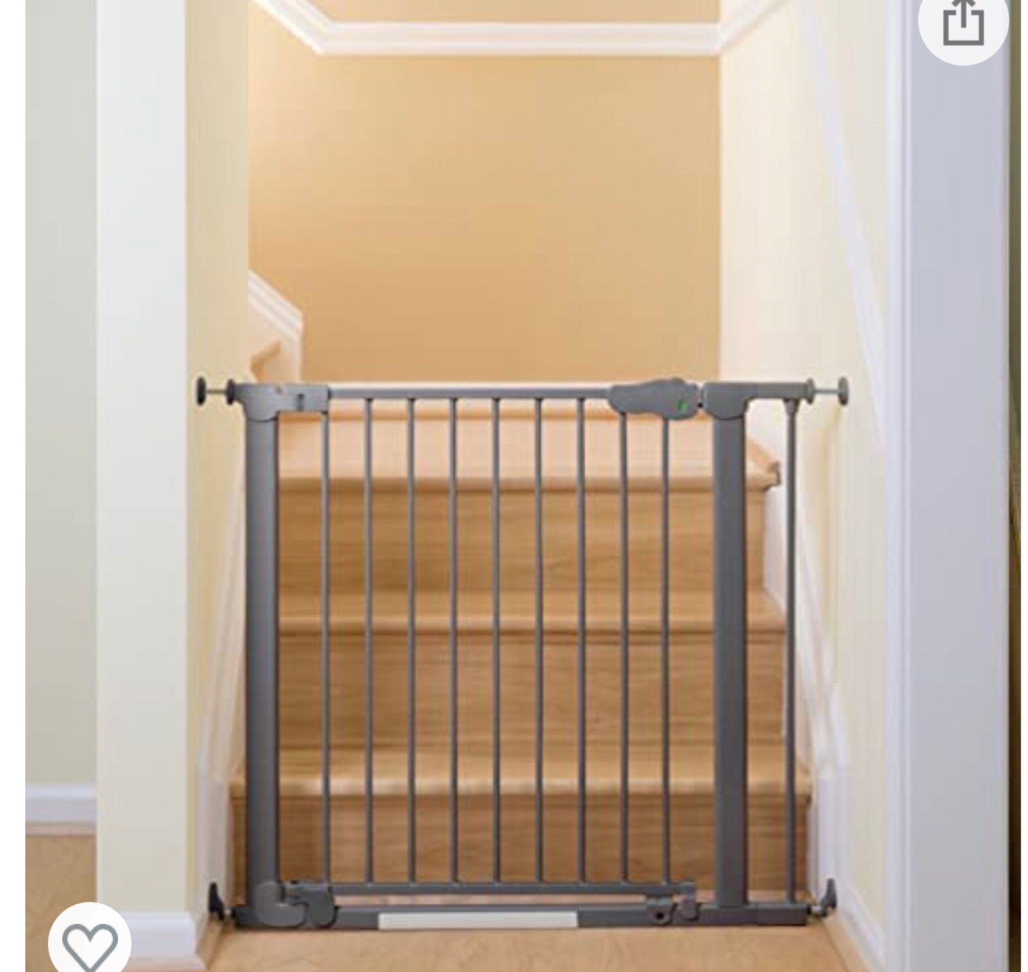 Online Only Bidding!