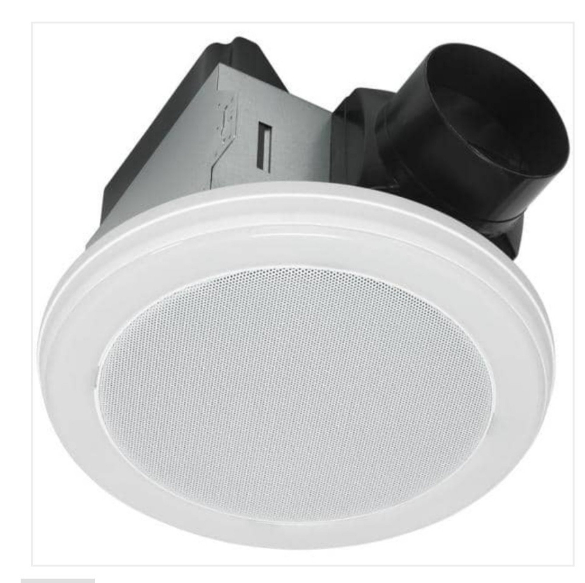 Online Only Bidding!