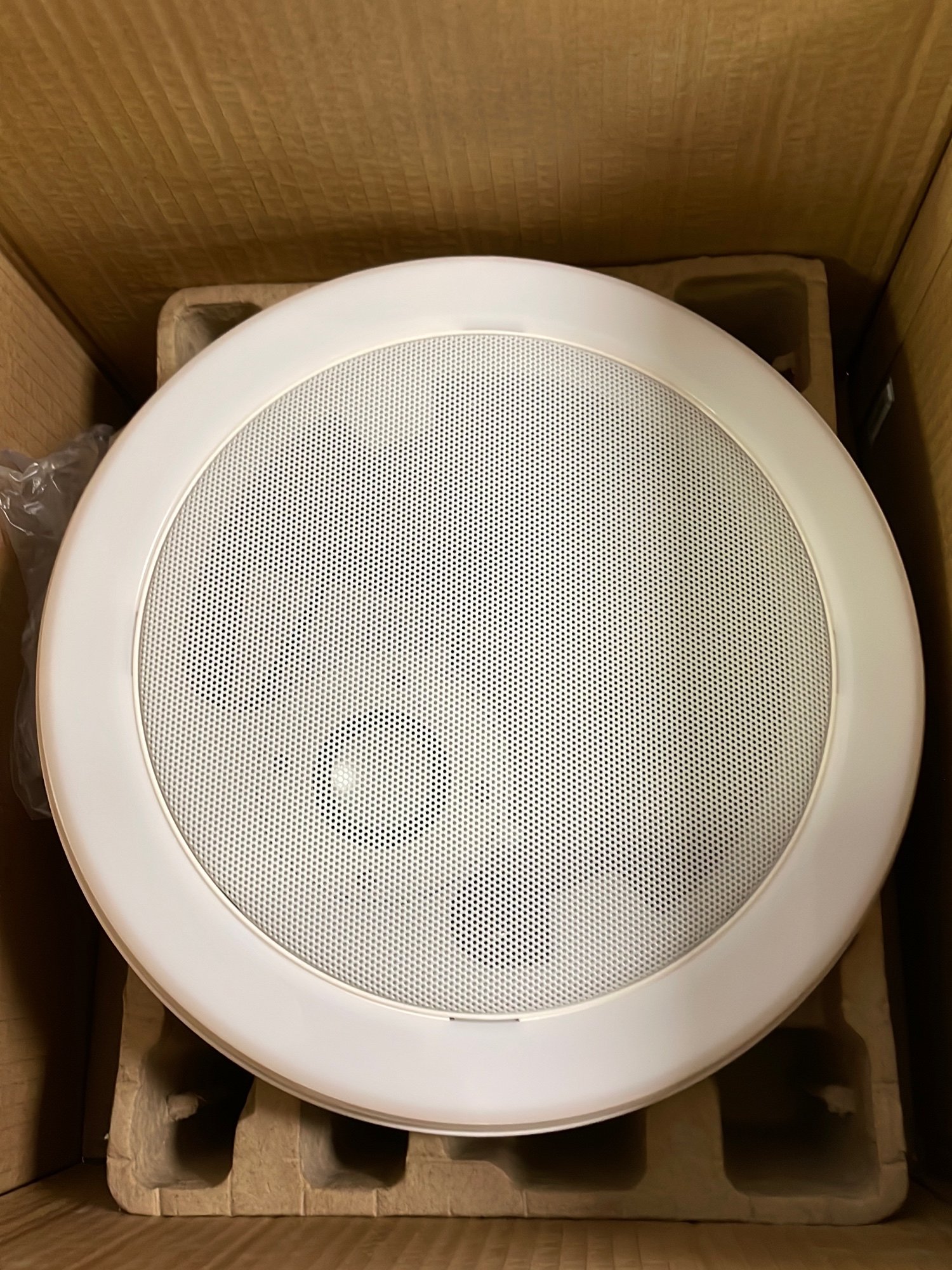 Online Only Bidding!