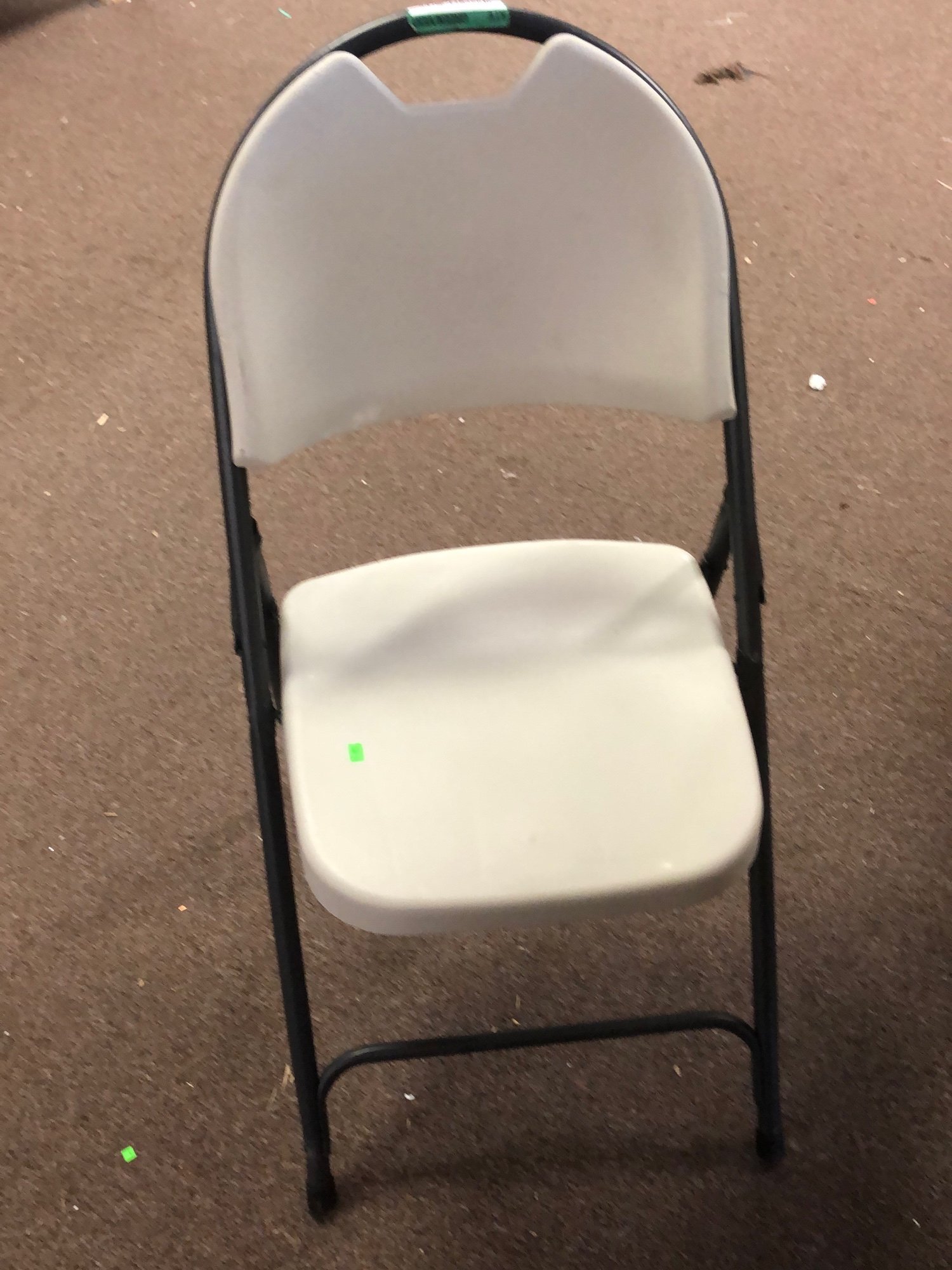 Online Only Bidding!