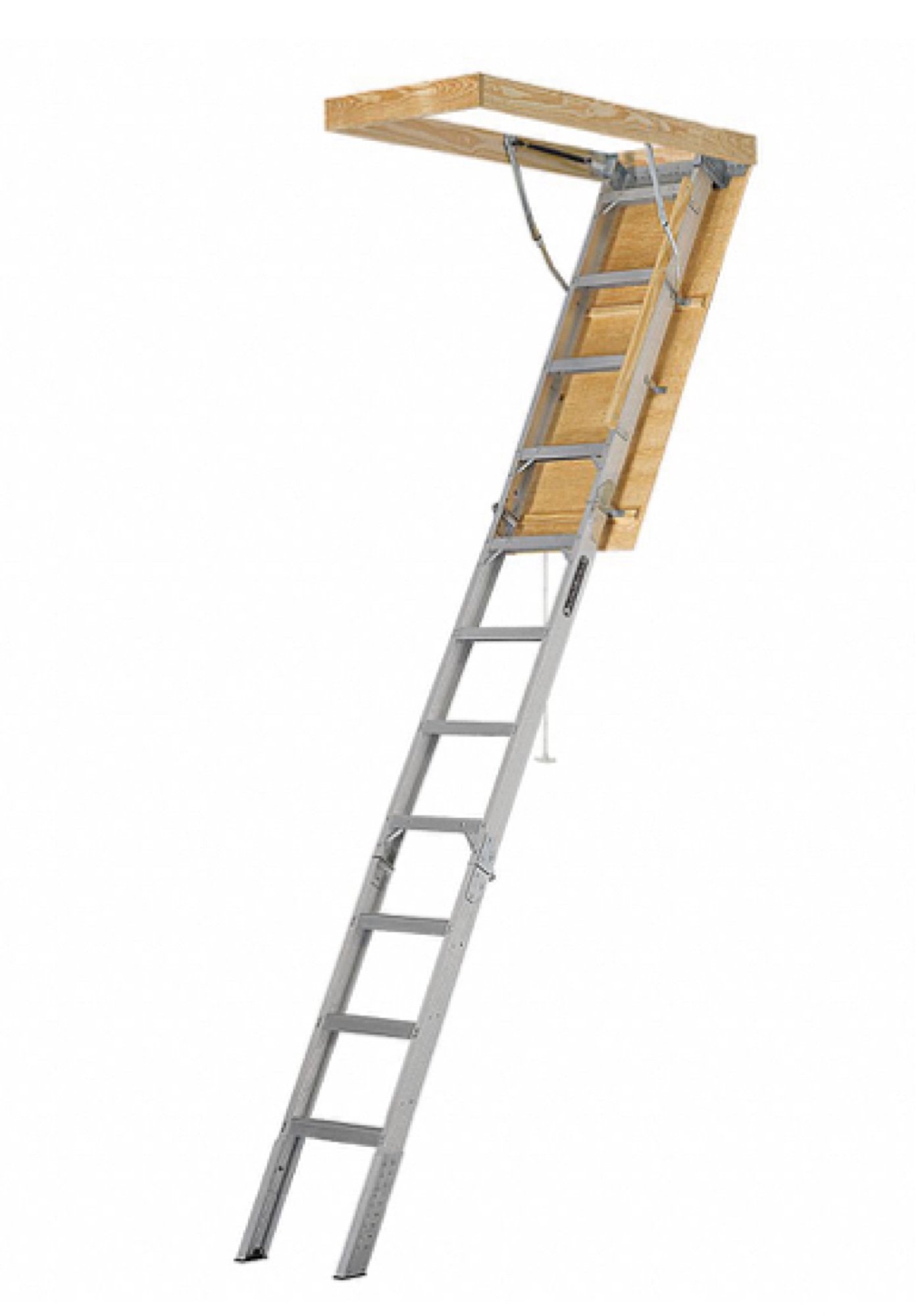 Online Only Bidding!