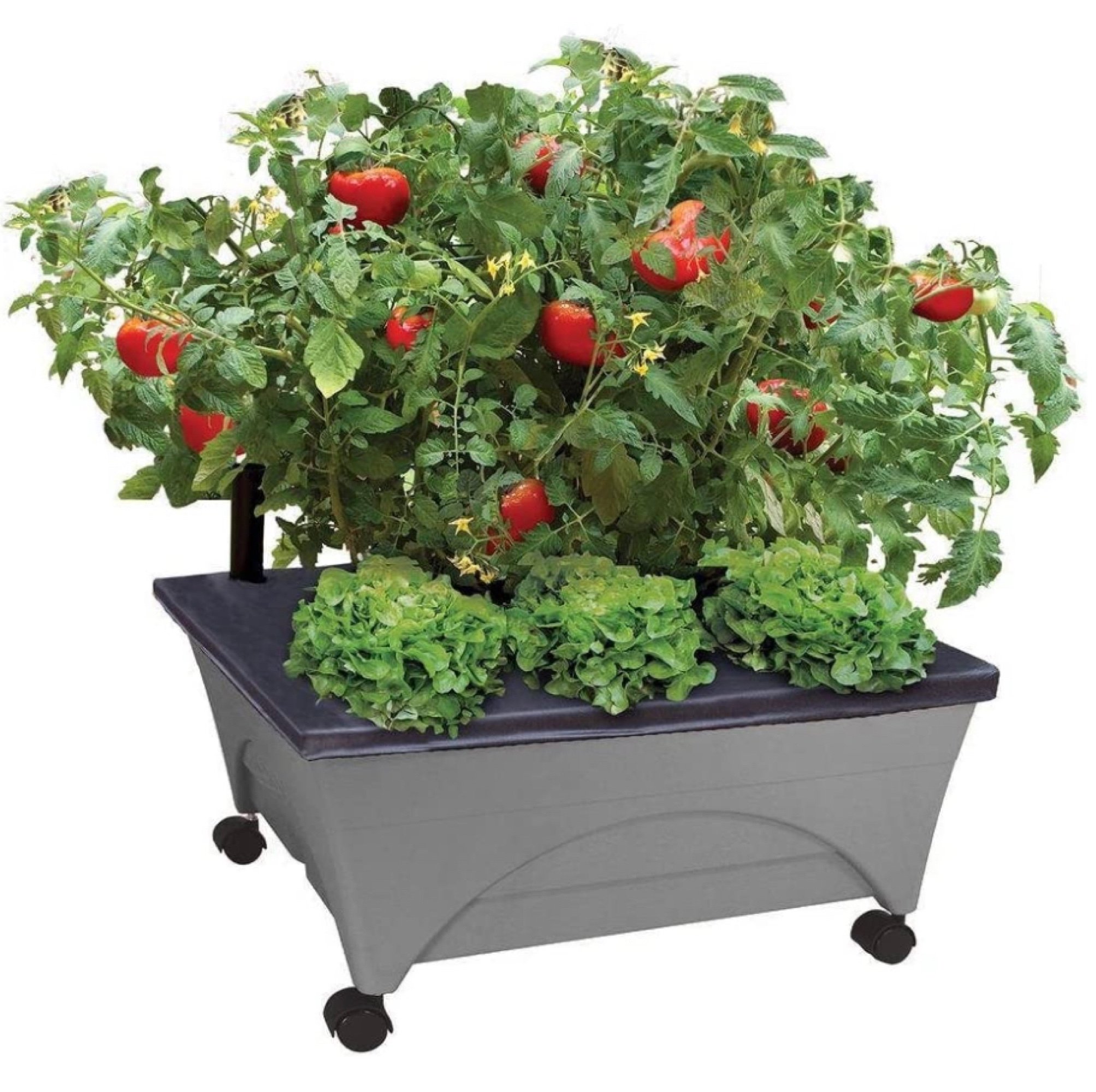 Online Only Bidding!