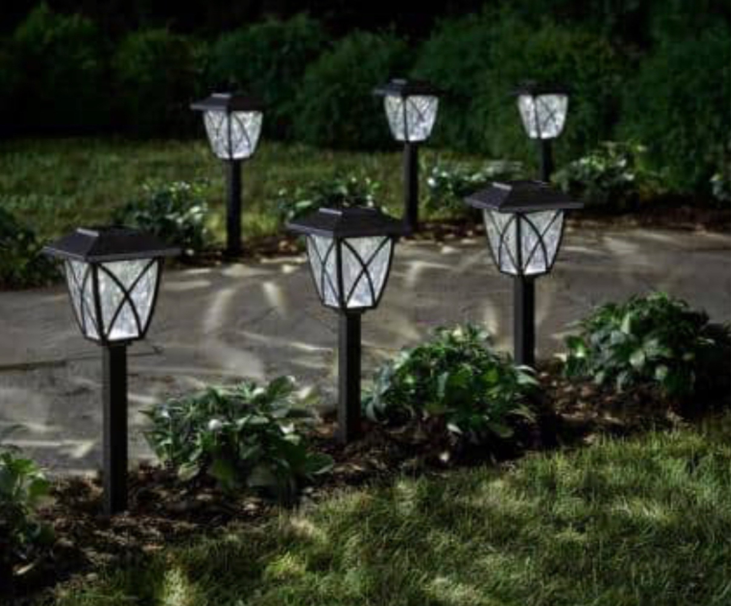 Online Only Bidding!