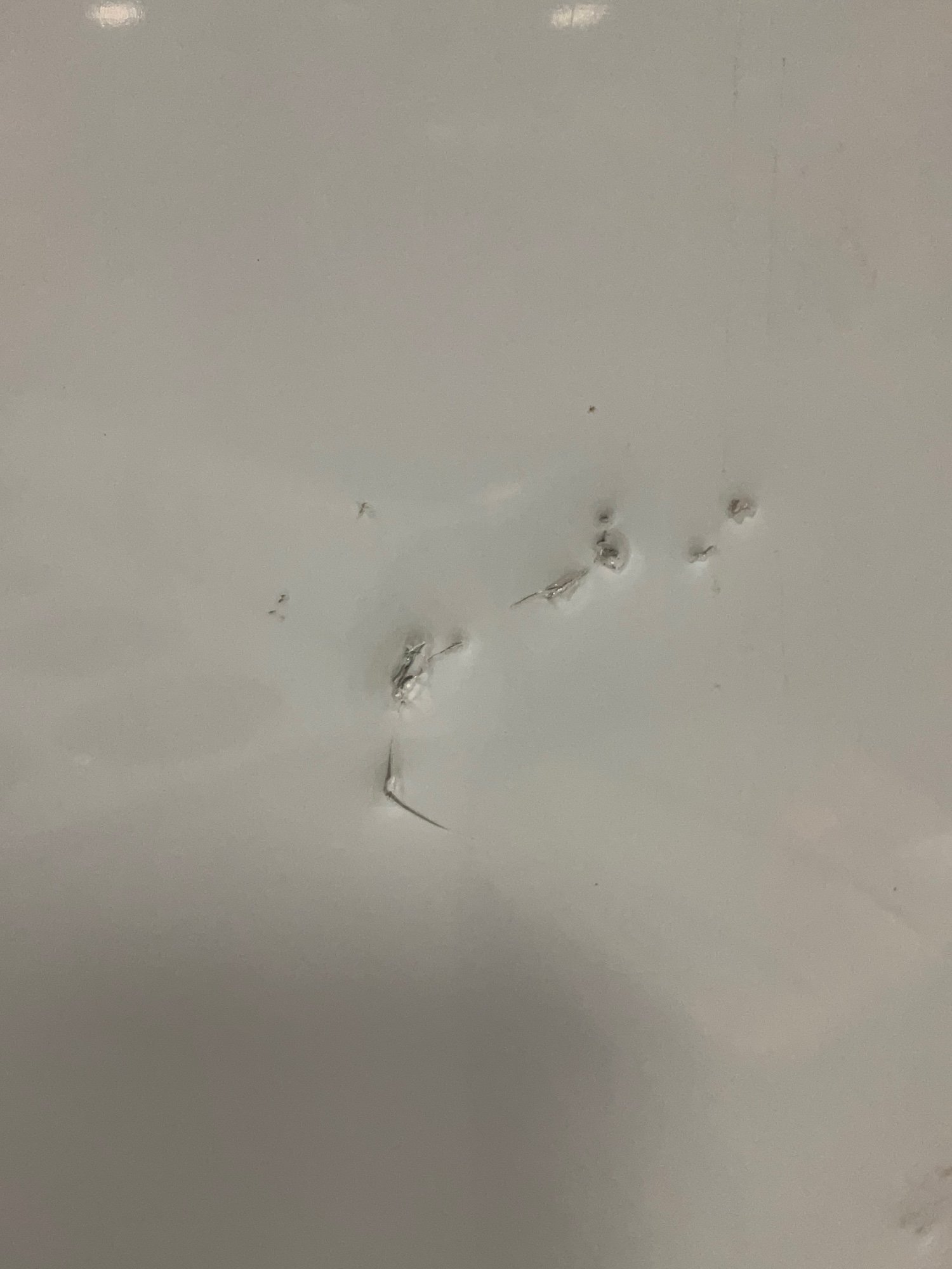 Online Only Bidding!