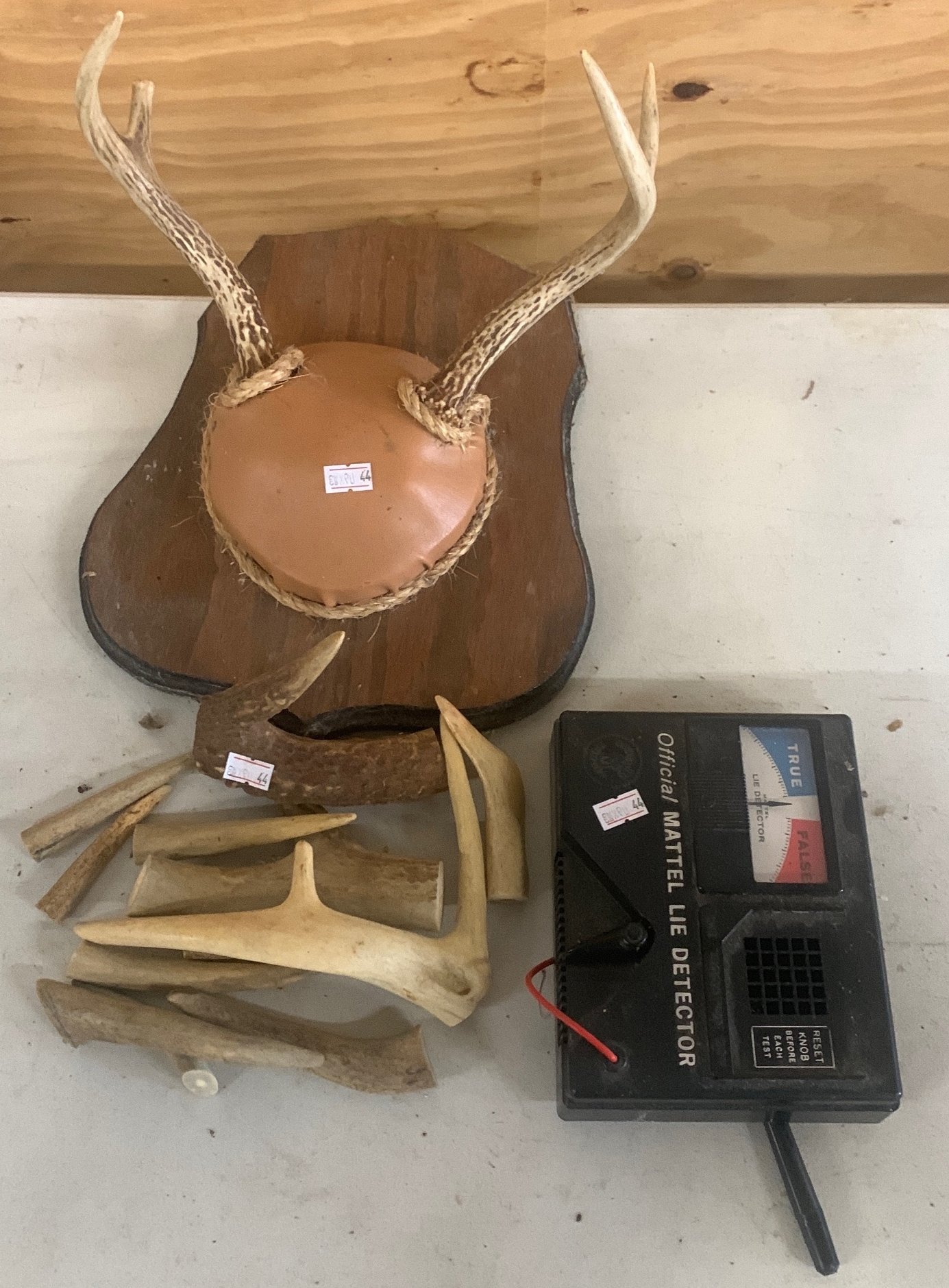 Online Bidding Only!