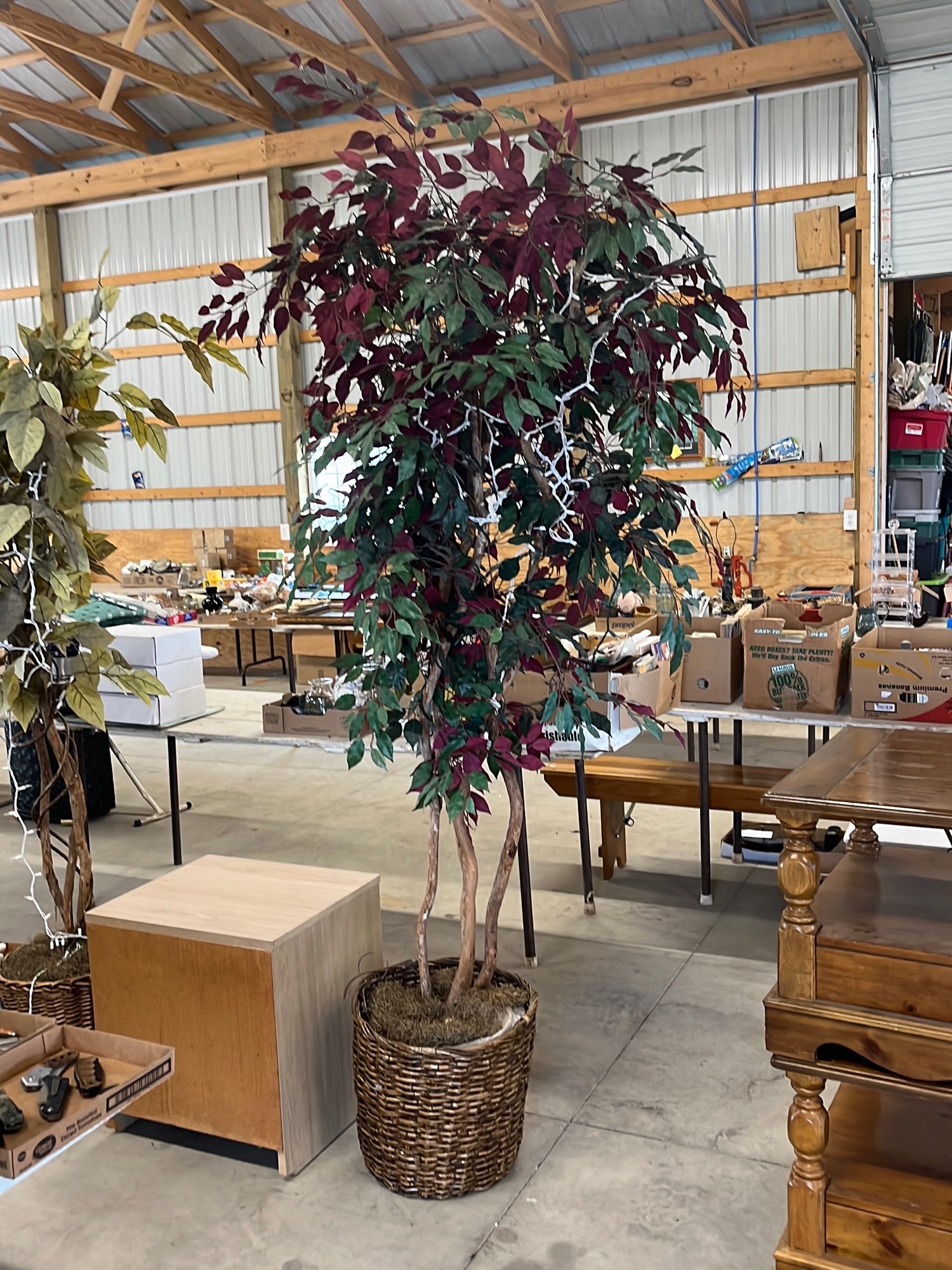 Online Bidding Only!