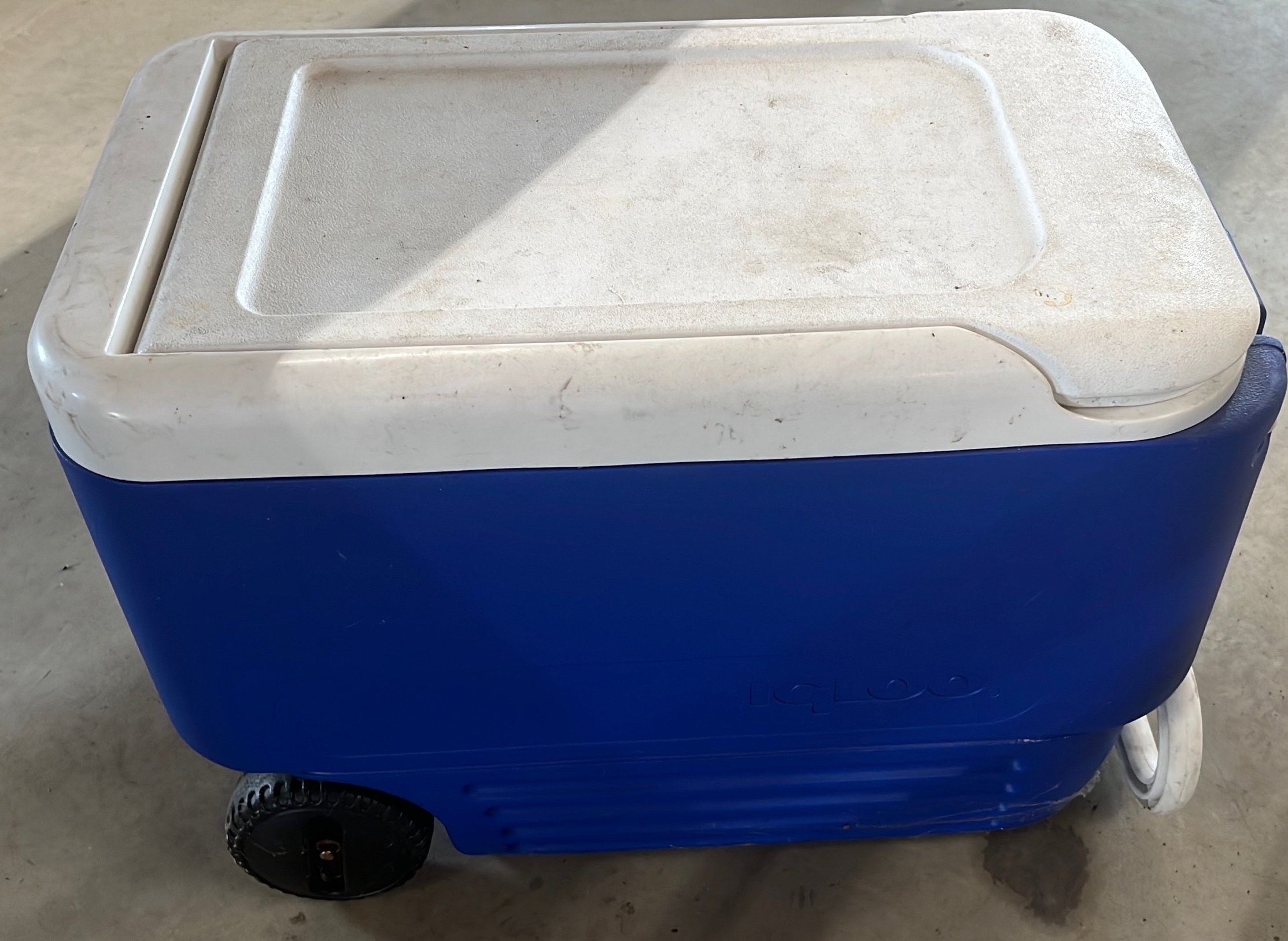 Online Bidding Only!