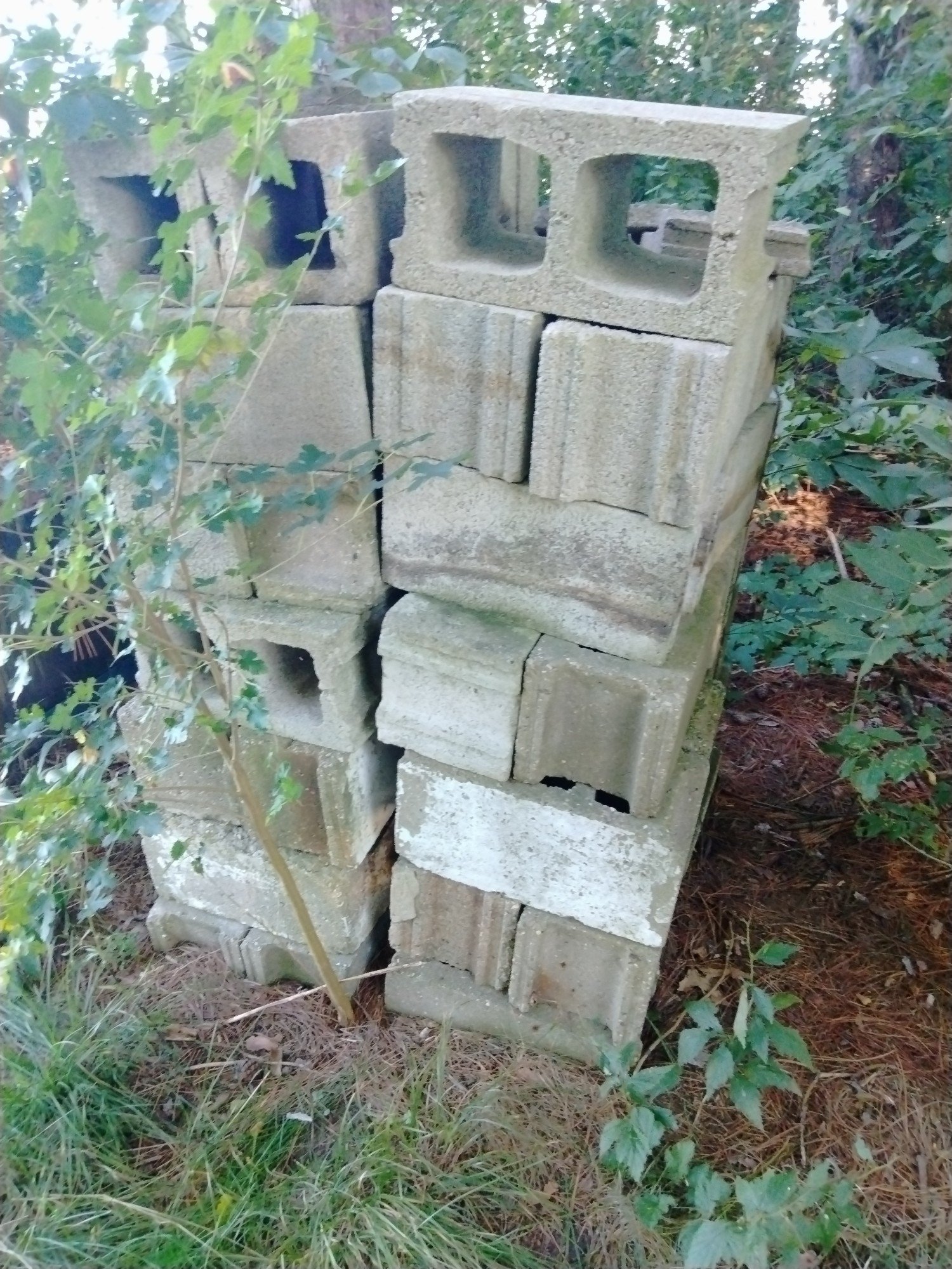 Online Bidding Only!